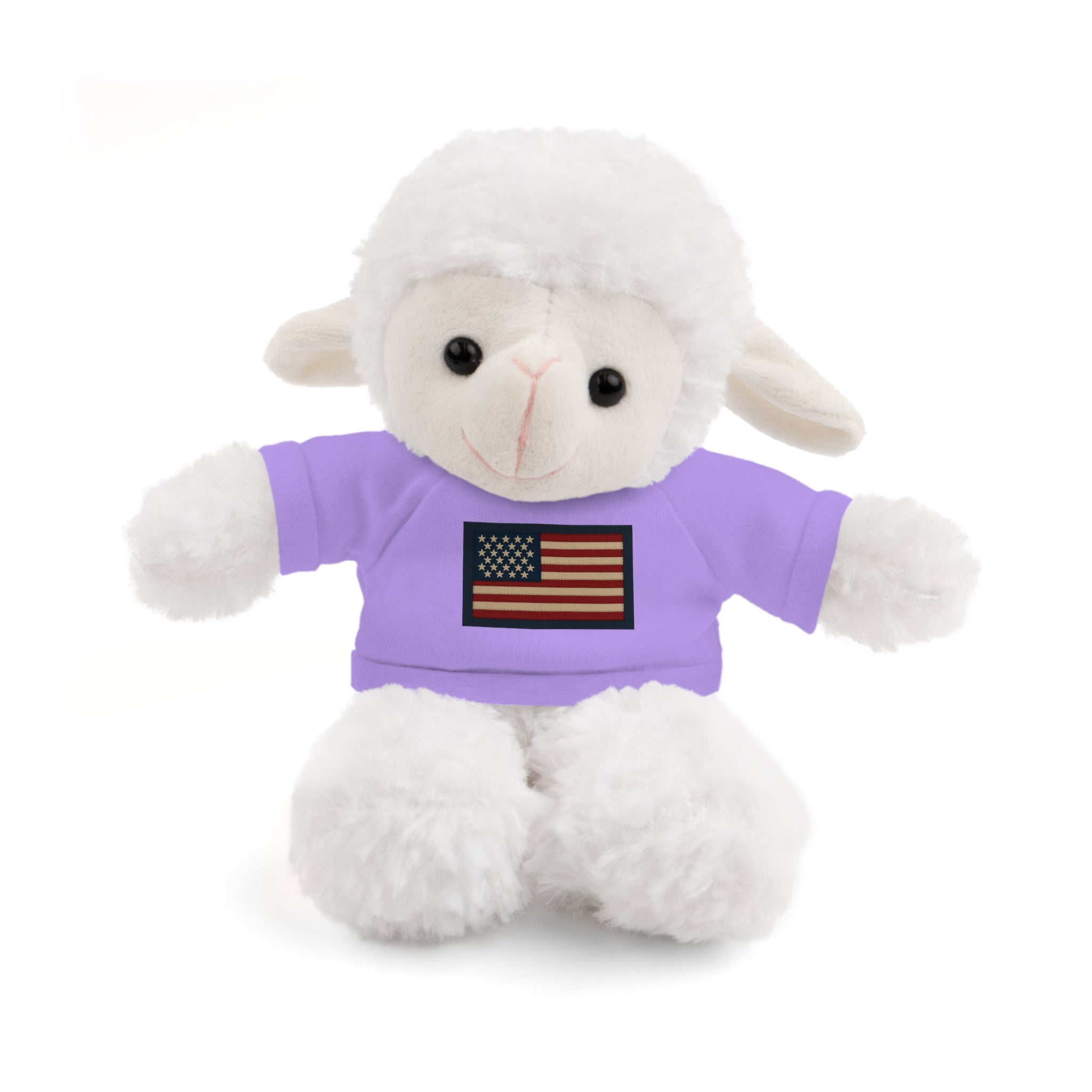 American Flag Teddy Bear with Tee — Patriotic Plush Gift