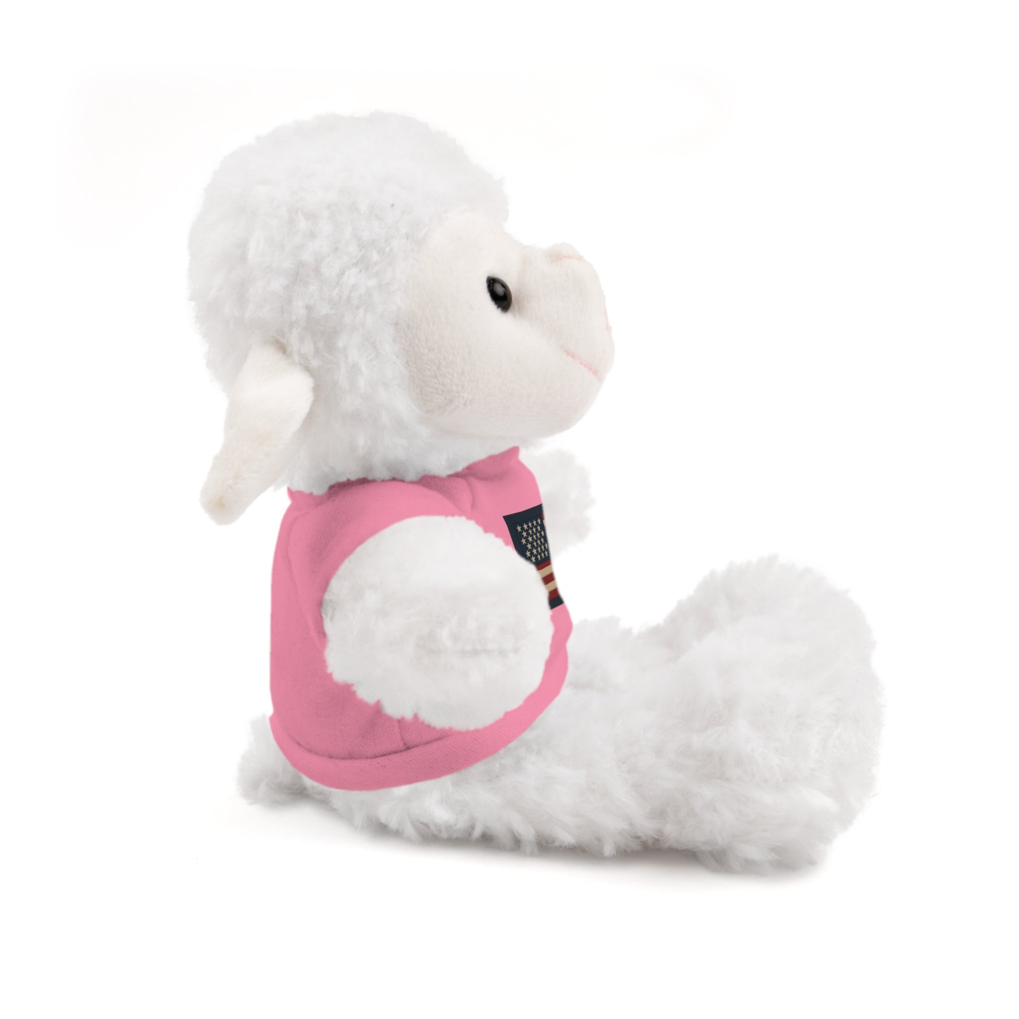 American Flag Teddy Bear with Tee — Patriotic Plush Gift