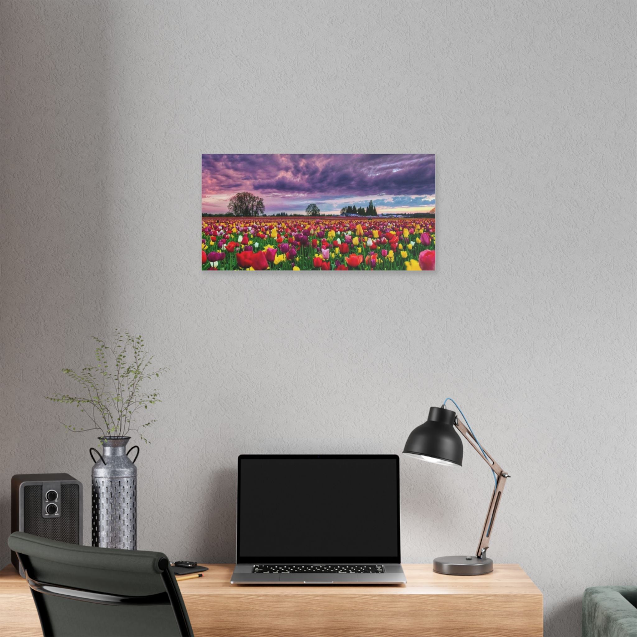 Tulip Field Sunset Canvas Print