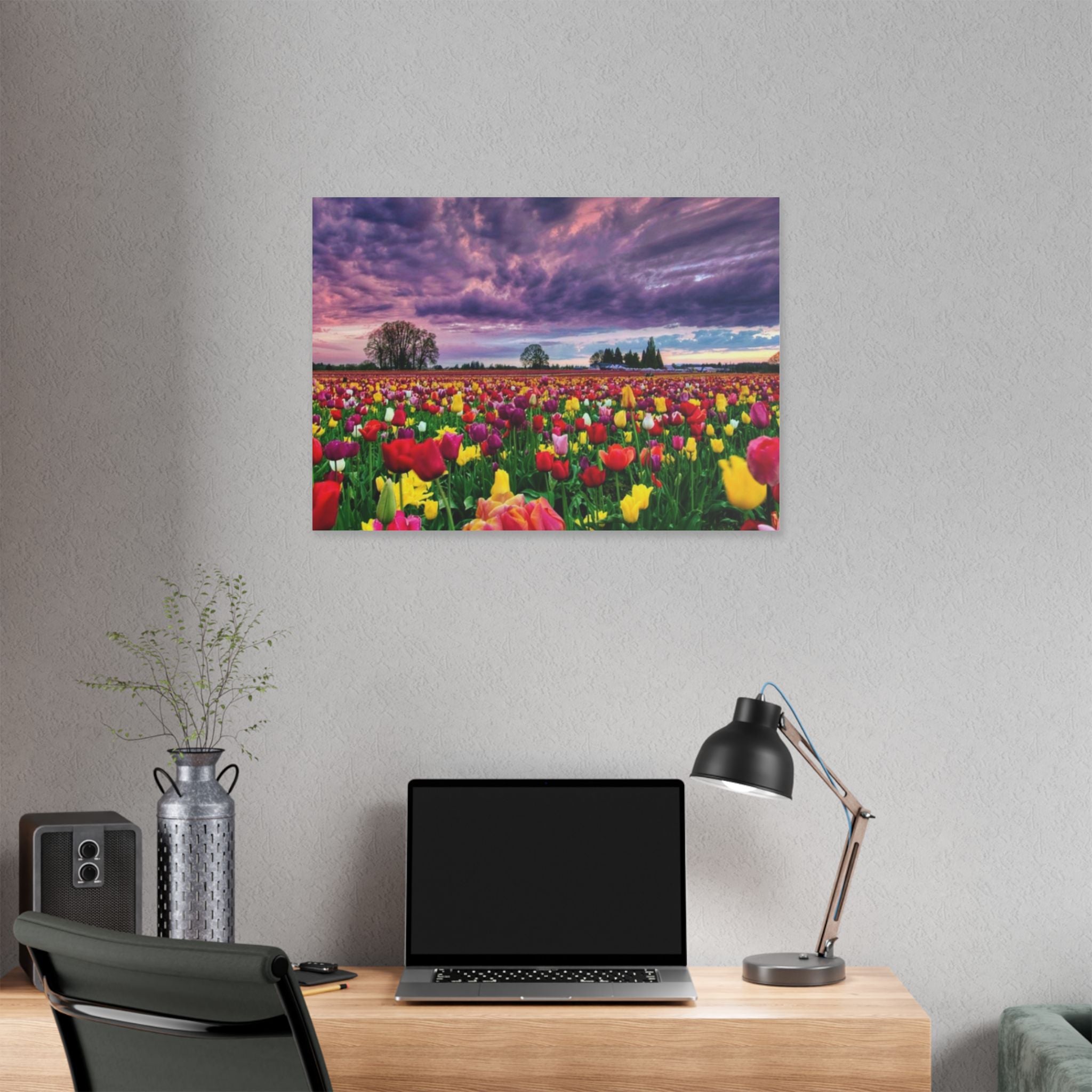 Tulip Field Sunset Canvas Print