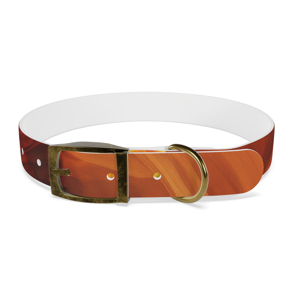 Amber Swirl Dog Collar — Warm Brown Abstract Pattern