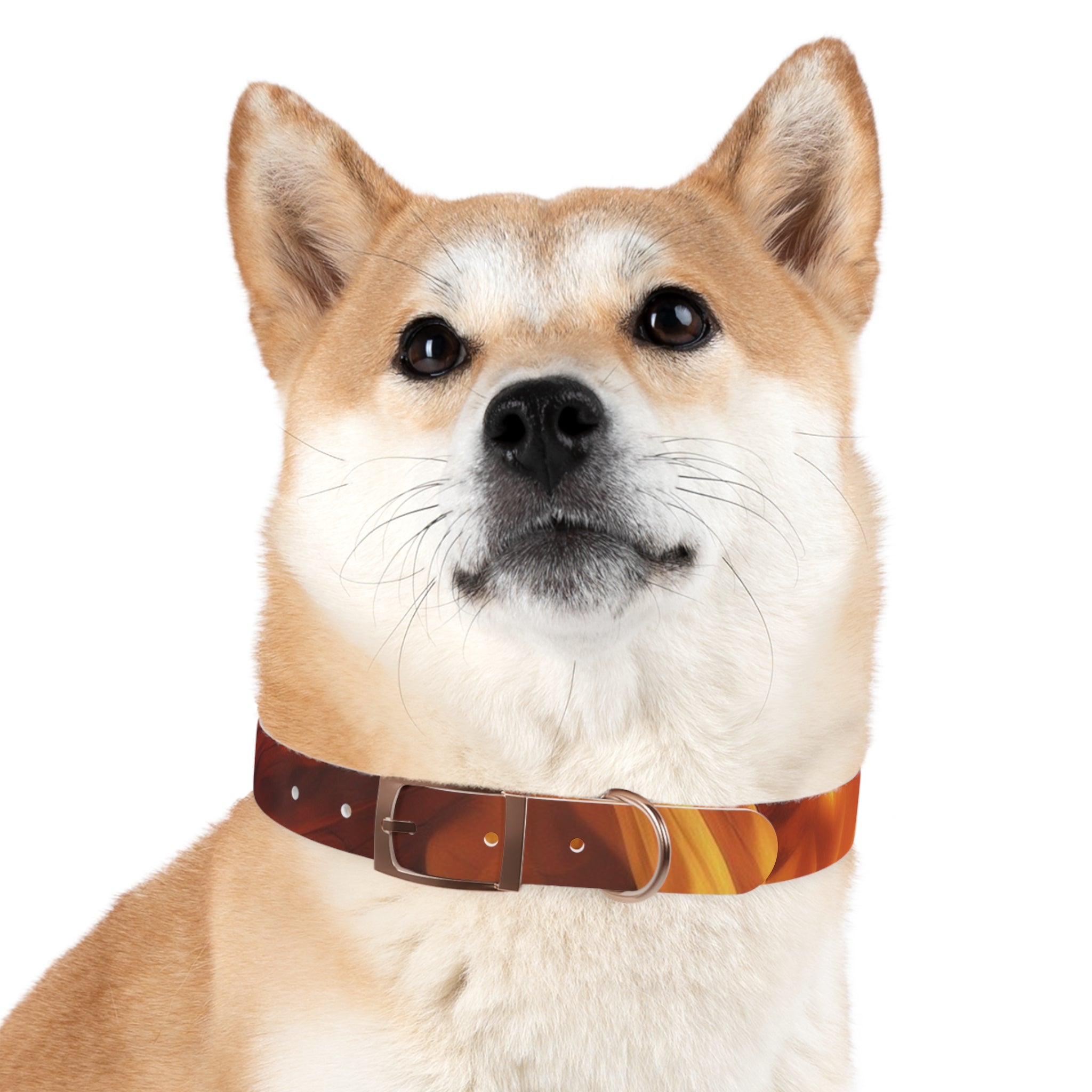 Amber Swirl Dog Collar — Warm Brown Abstract Pattern