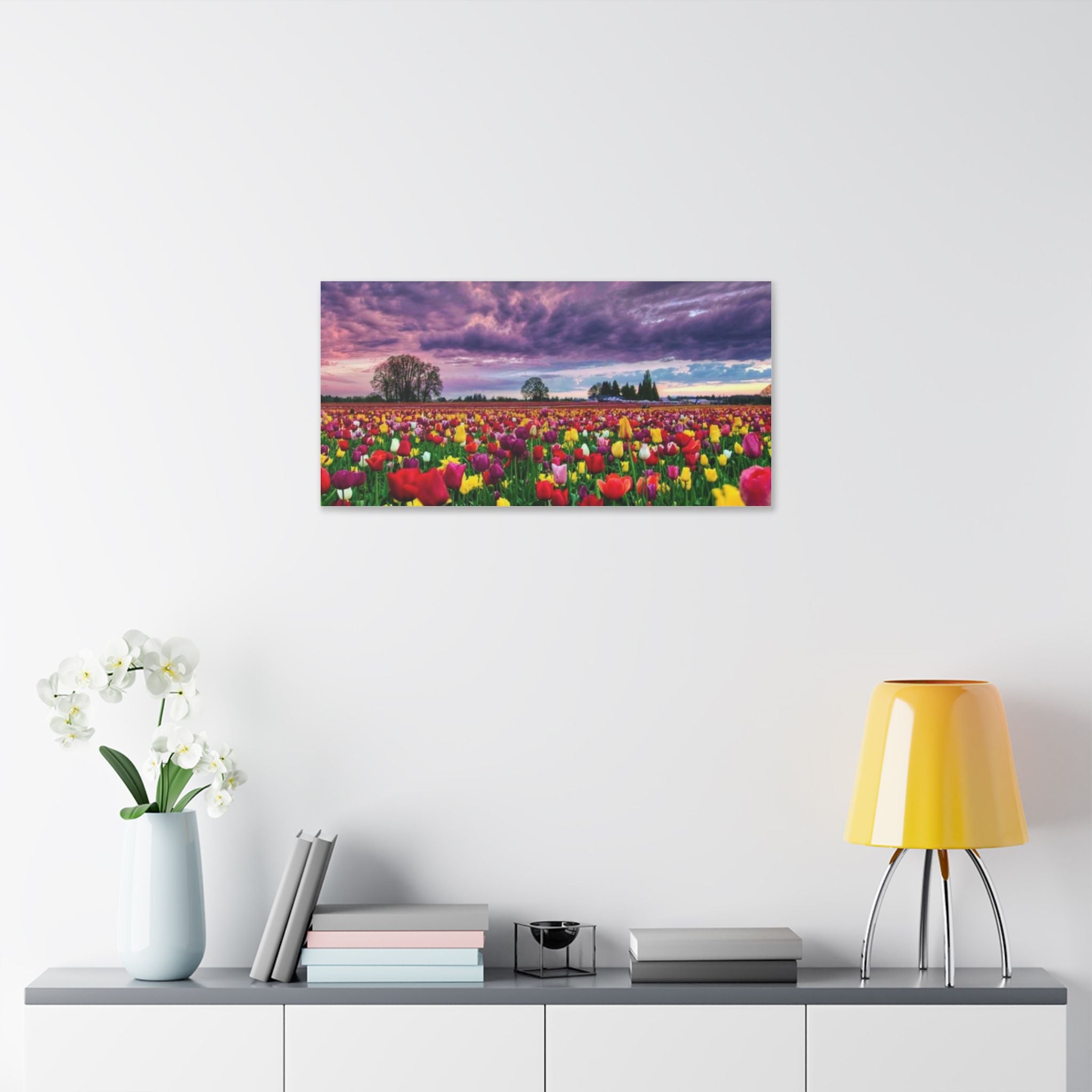 Tulip Field Sunset Canvas Print