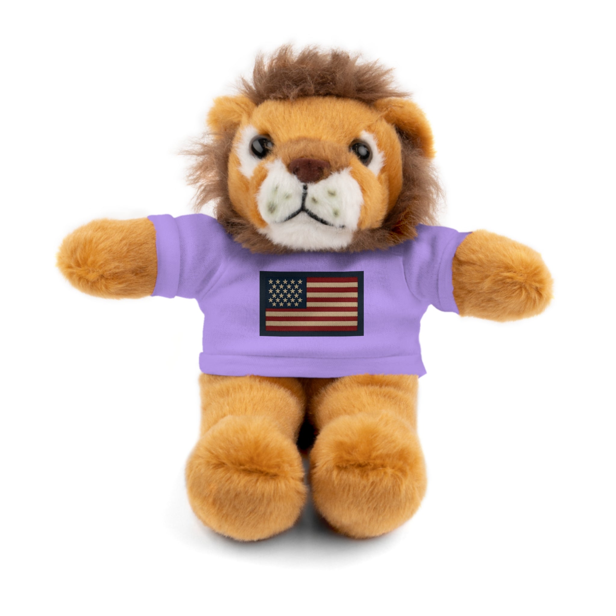 American Flag Teddy Bear with Tee — Patriotic Plush Gift