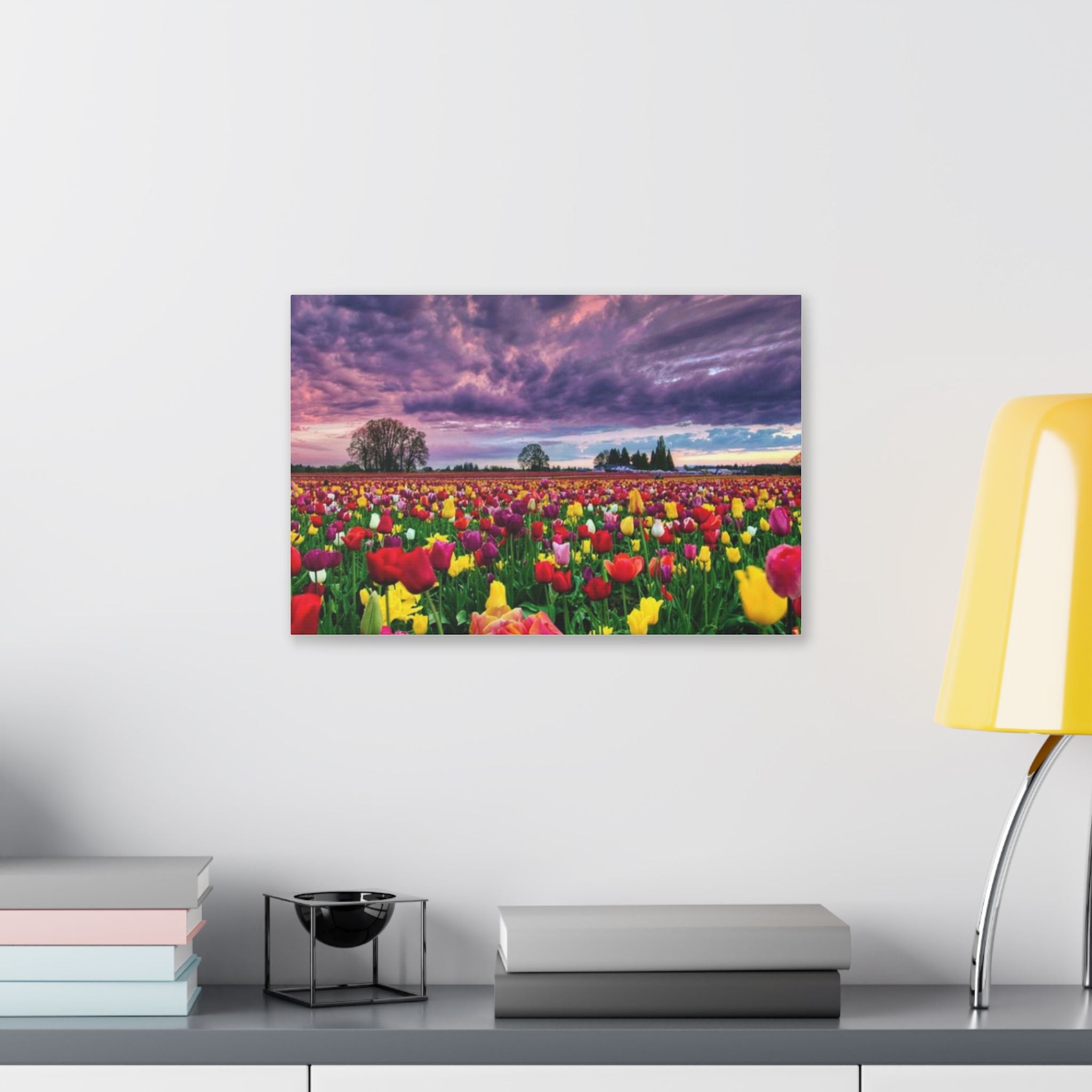 Tulip Field Sunset Canvas Print