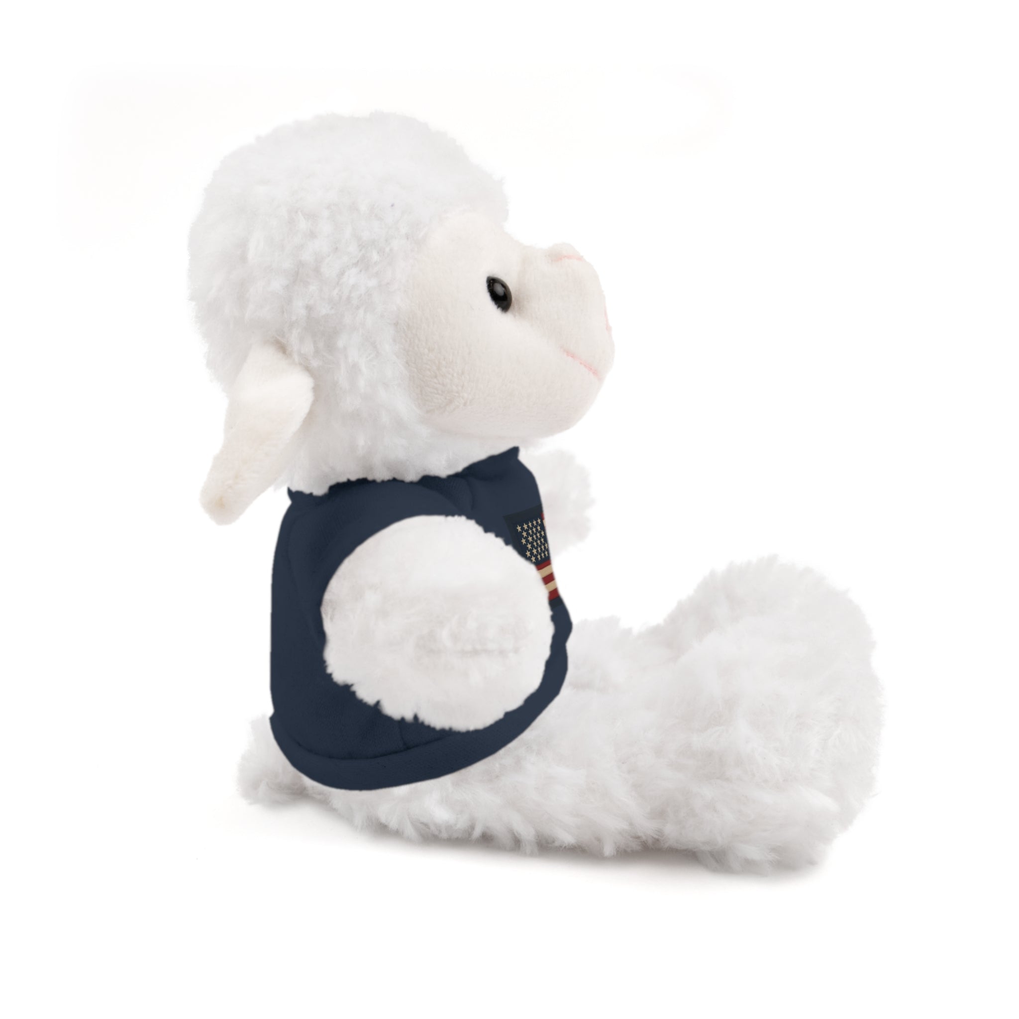 American Flag Teddy Bear with Tee — Patriotic Plush Gift