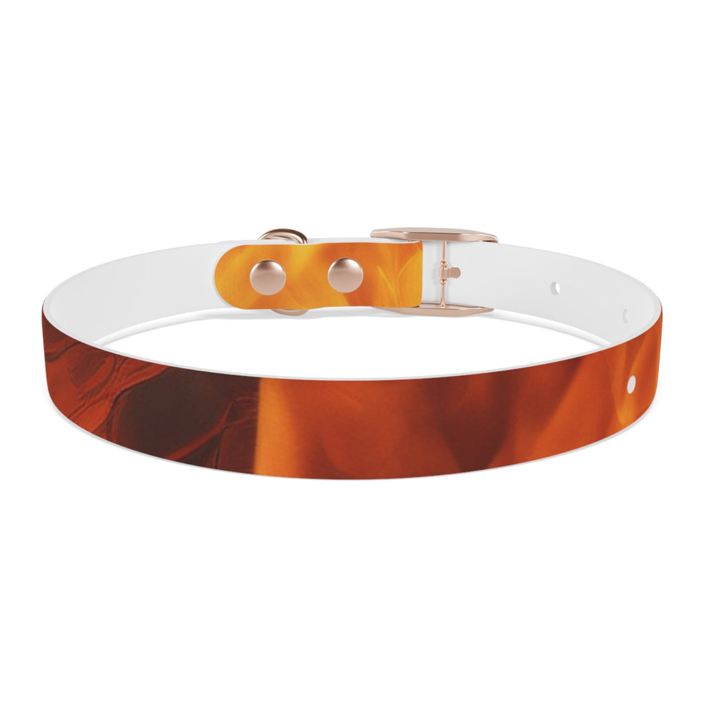Amber Swirl Dog Collar — Warm Brown Abstract Pattern