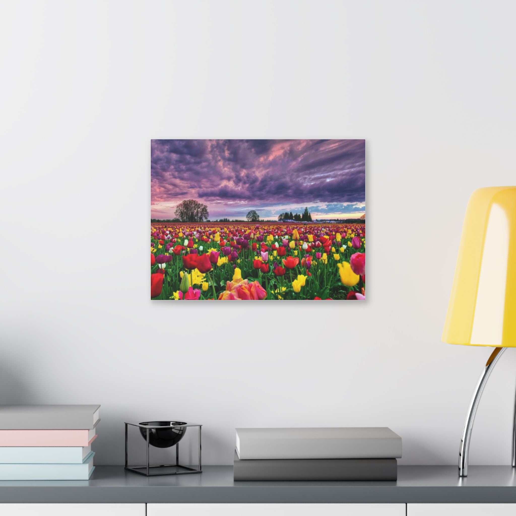 Tulip Field Sunset Canvas Print
