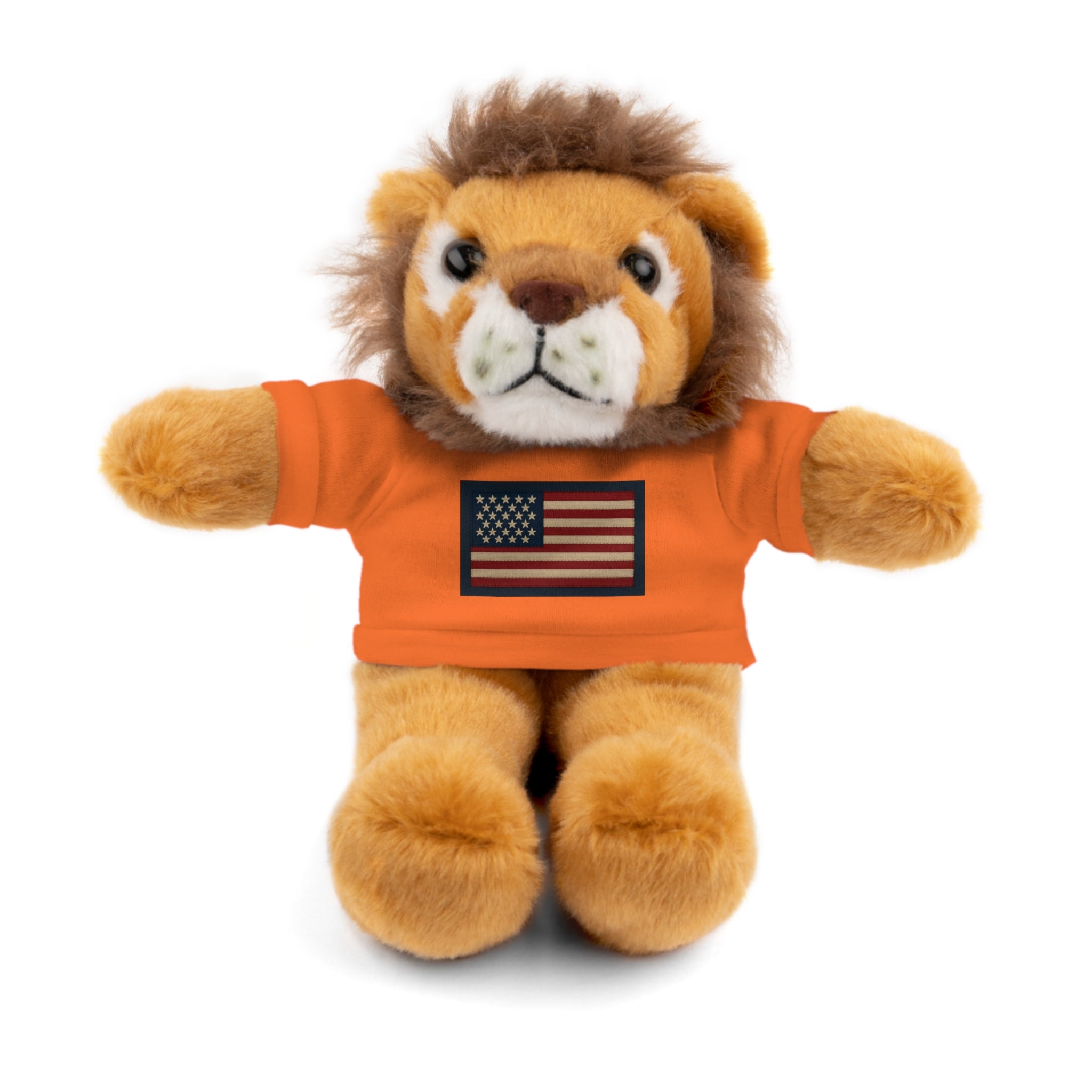 American Flag Teddy Bear with Tee — Patriotic Plush Gift