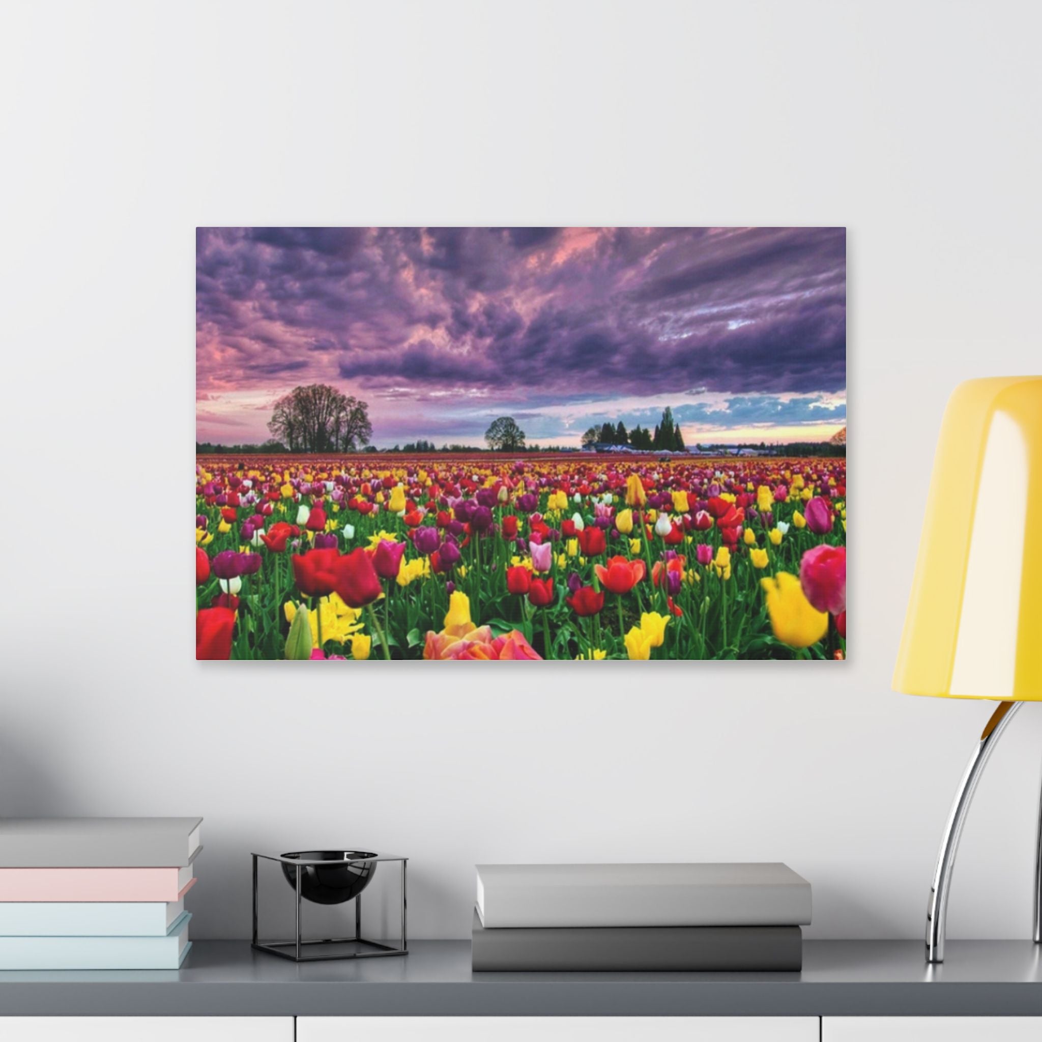 Tulip Field Sunset Canvas Print
