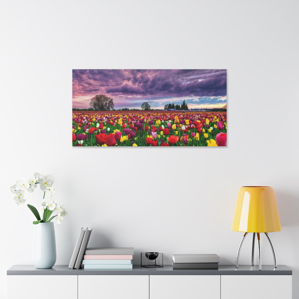 Tulip Field Sunset Canvas Print
