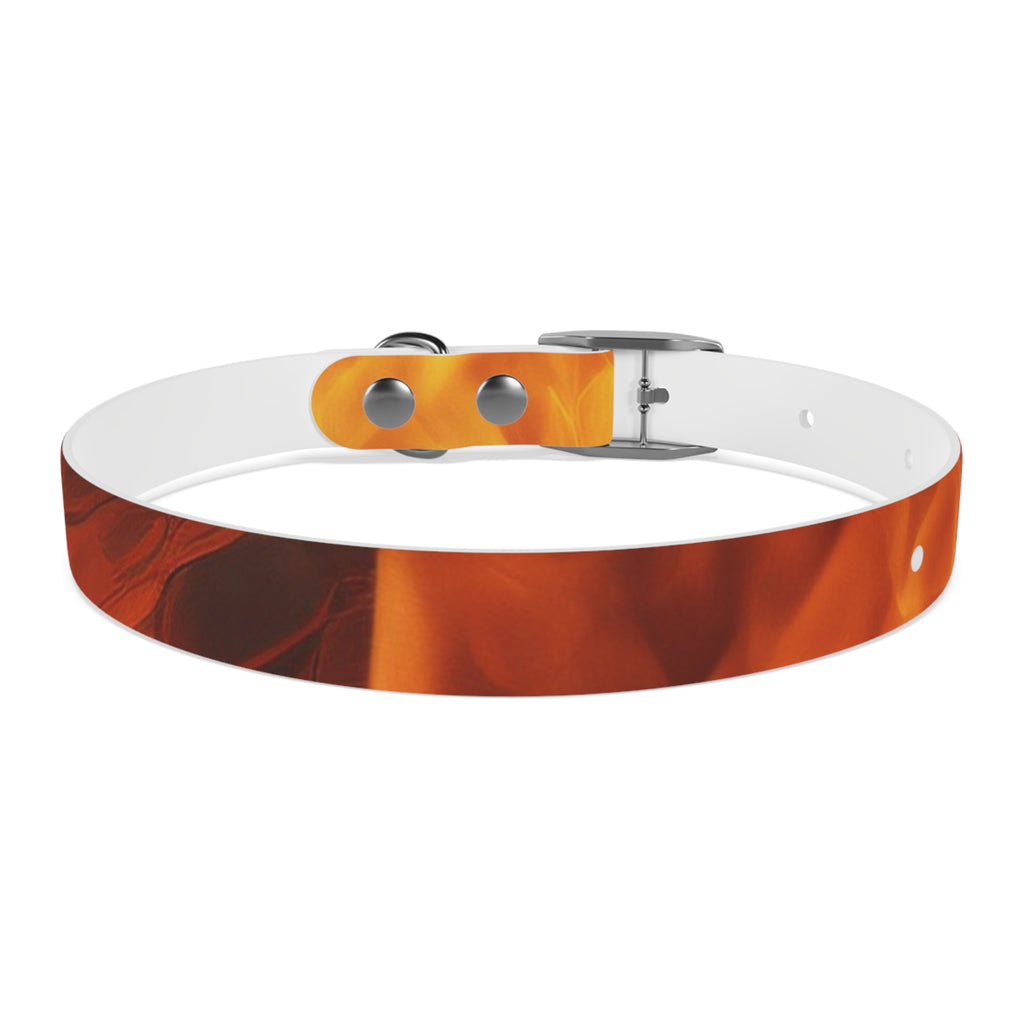 Amber Swirl Dog Collar — Warm Brown Abstract Pattern