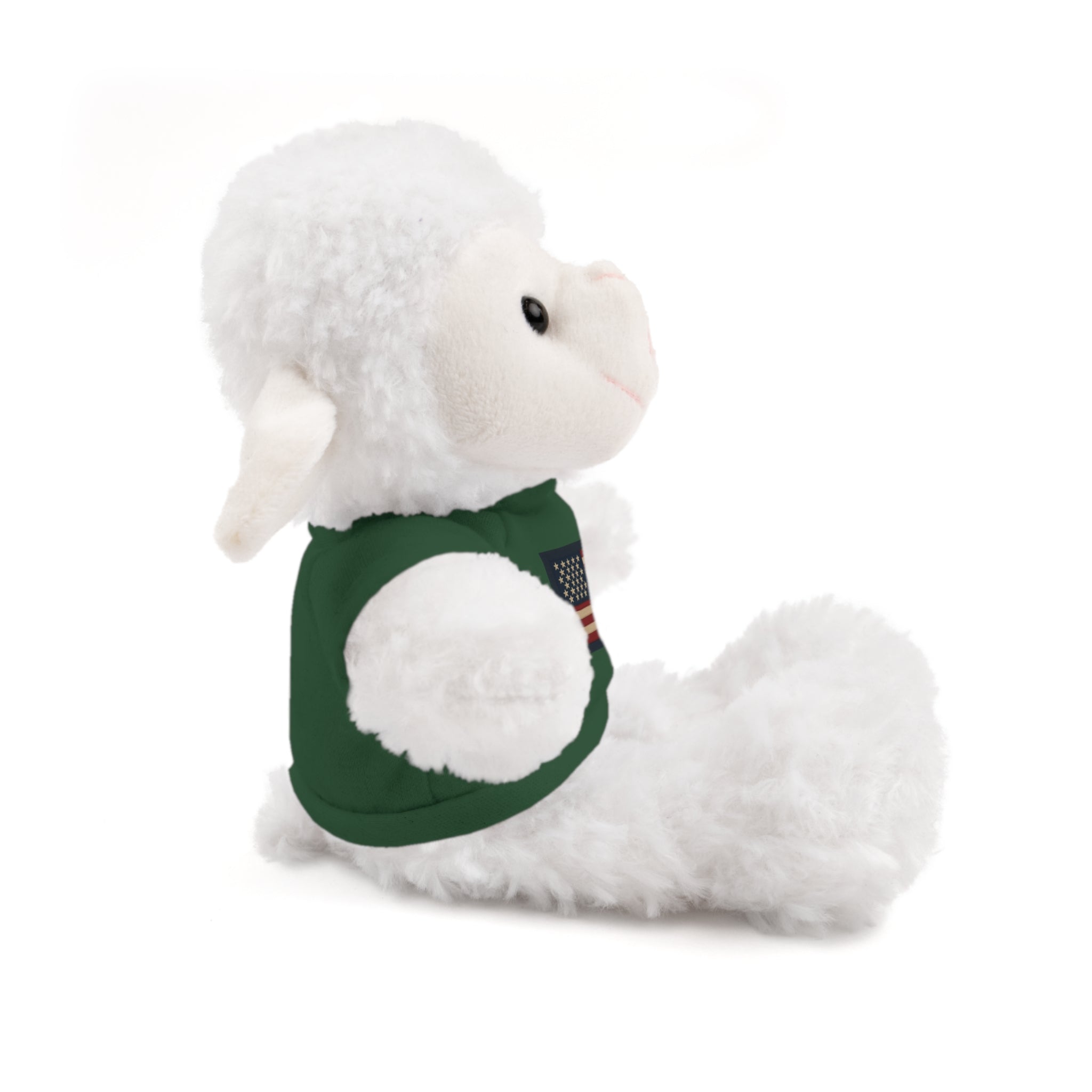 American Flag Teddy Bear with Tee — Patriotic Plush Gift