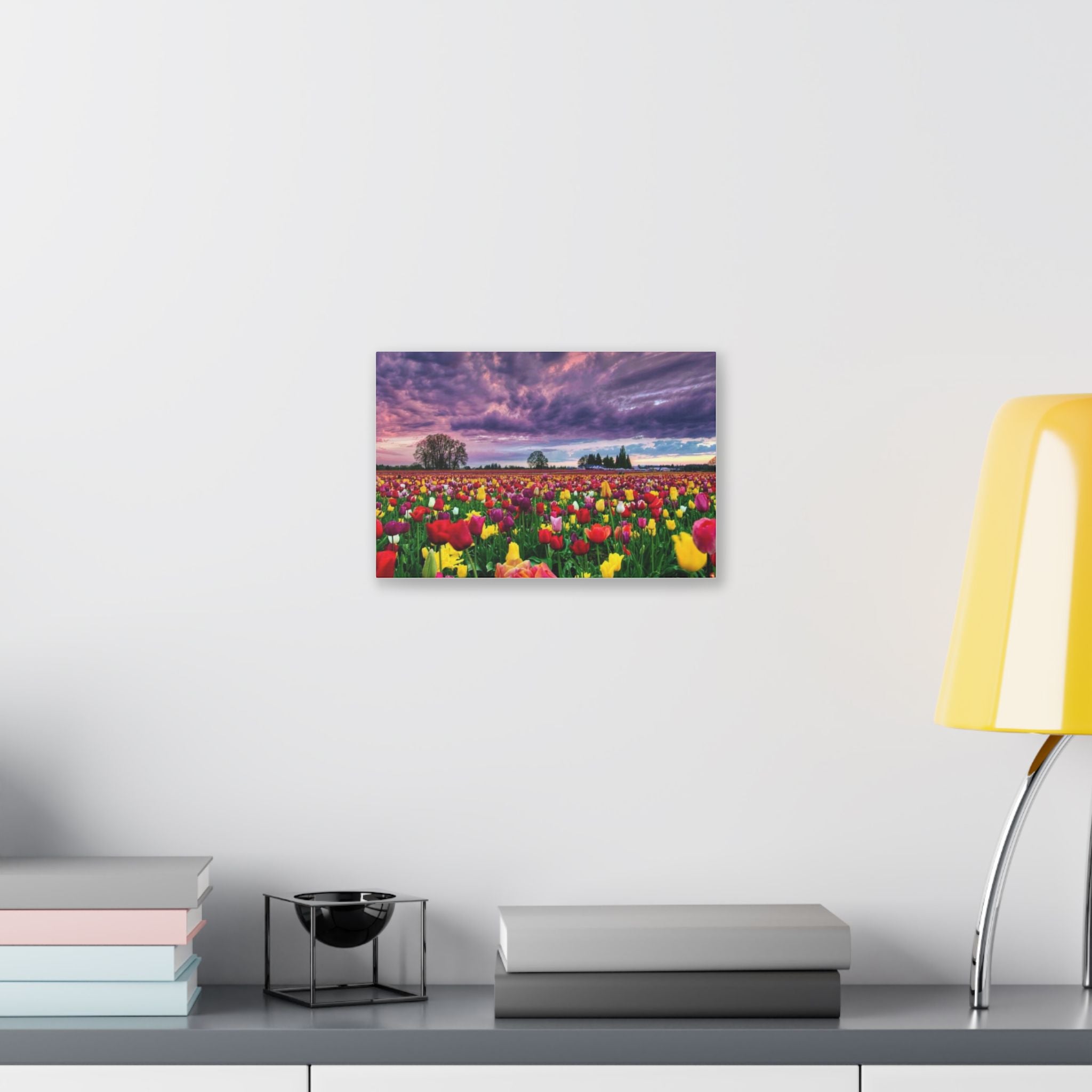 Tulip Field Sunset Canvas Print