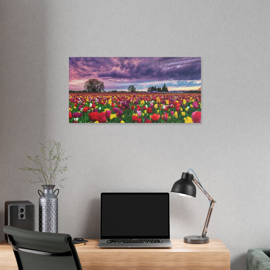 Tulip Field Sunset Canvas Print