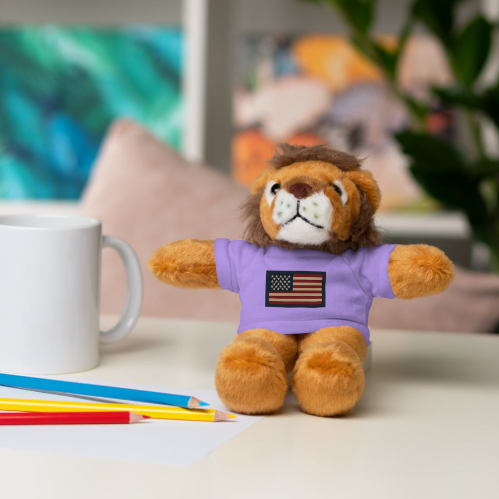American Flag Teddy Bear with Tee — Patriotic Plush Gift