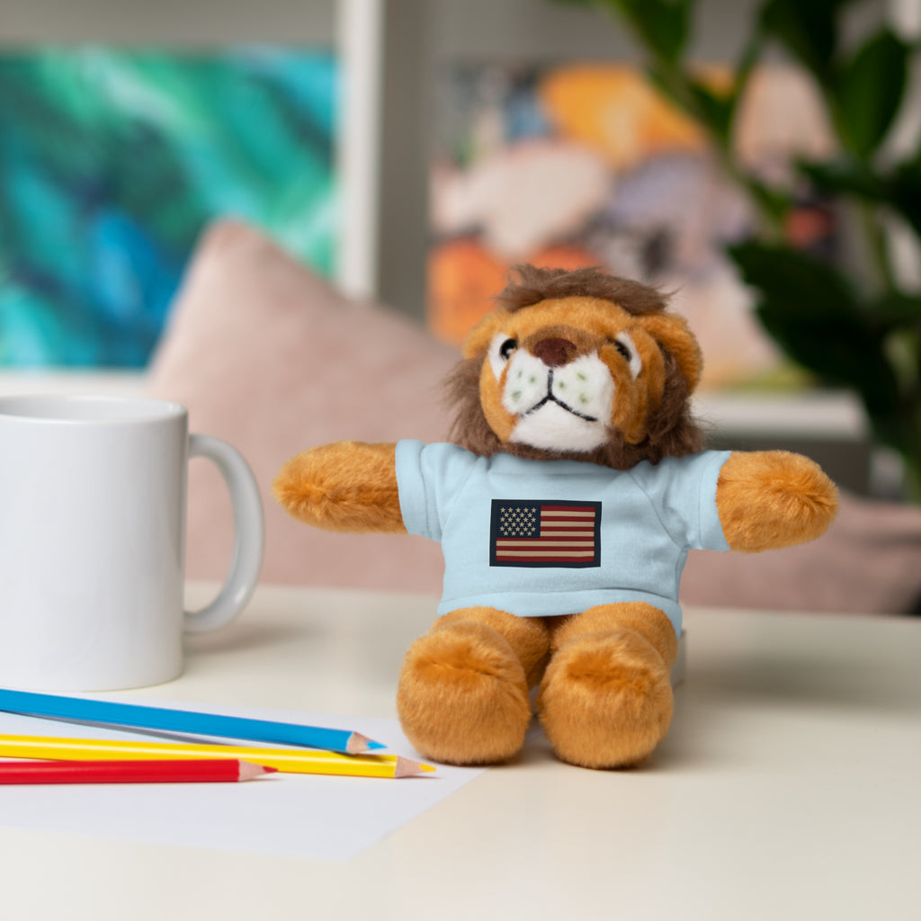 American Flag Teddy Bear with Tee — Patriotic Plush Gift