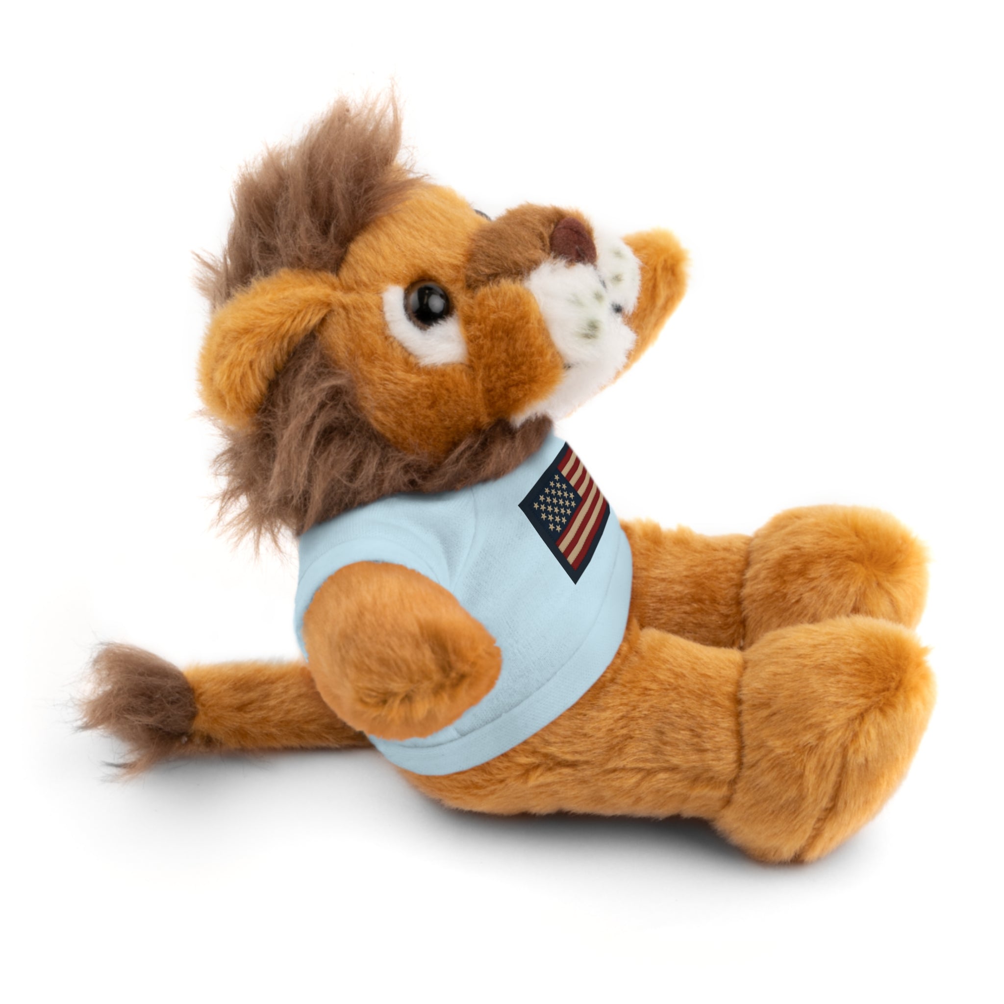 American Flag Teddy Bear with Tee — Patriotic Plush Gift