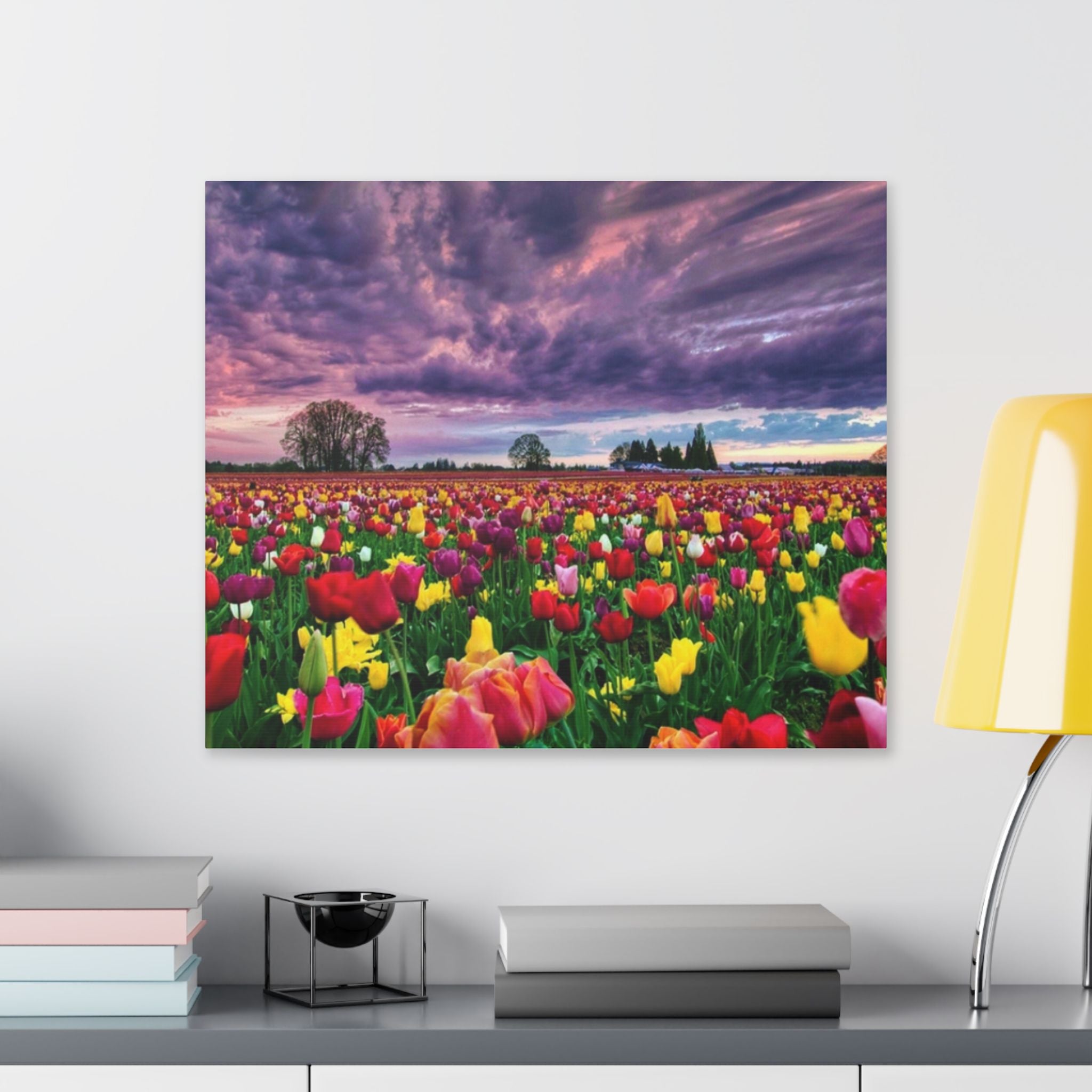 Tulip Field Sunset Canvas Print