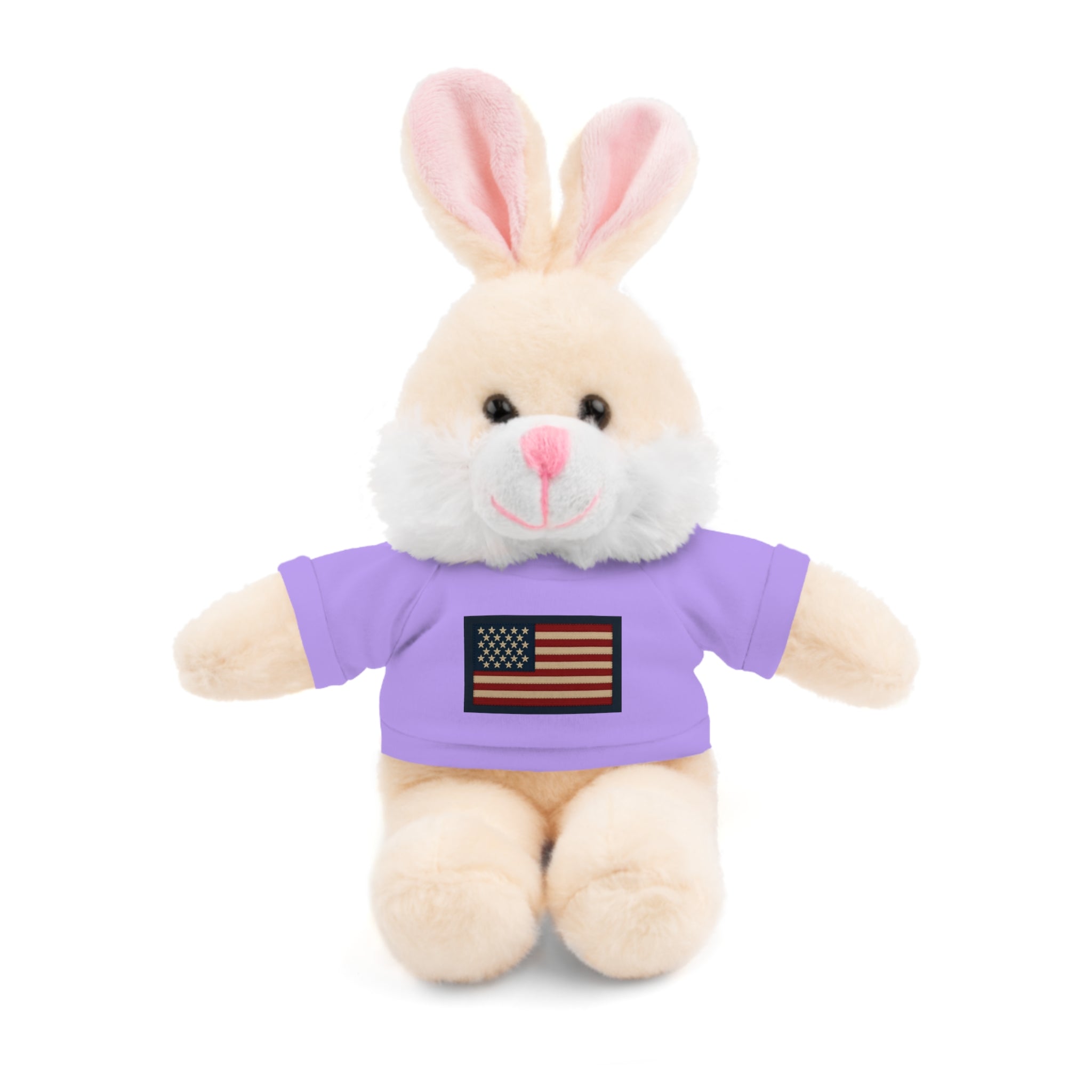 American Flag Teddy Bear with Tee — Patriotic Plush Gift
