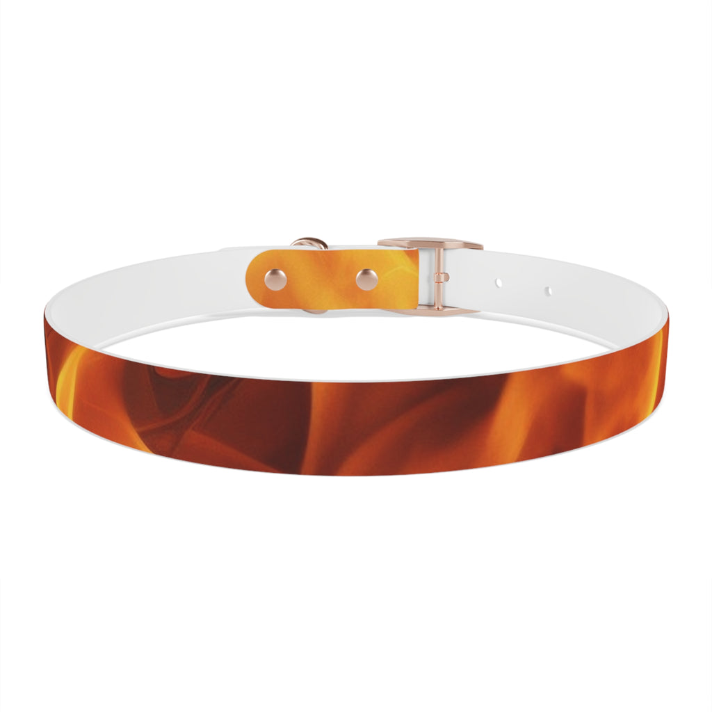 Amber Swirl Dog Collar — Warm Brown Abstract Pattern