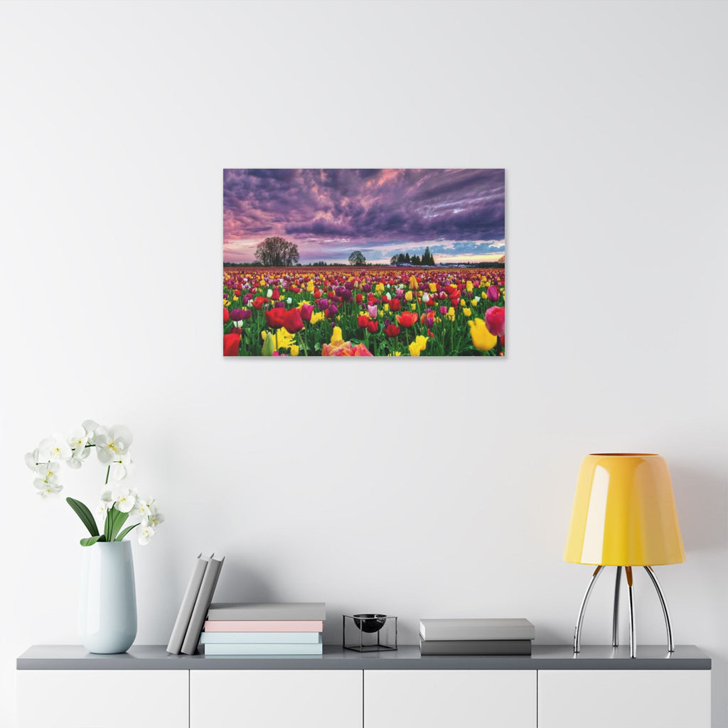 Tulip Field Sunset Canvas Print