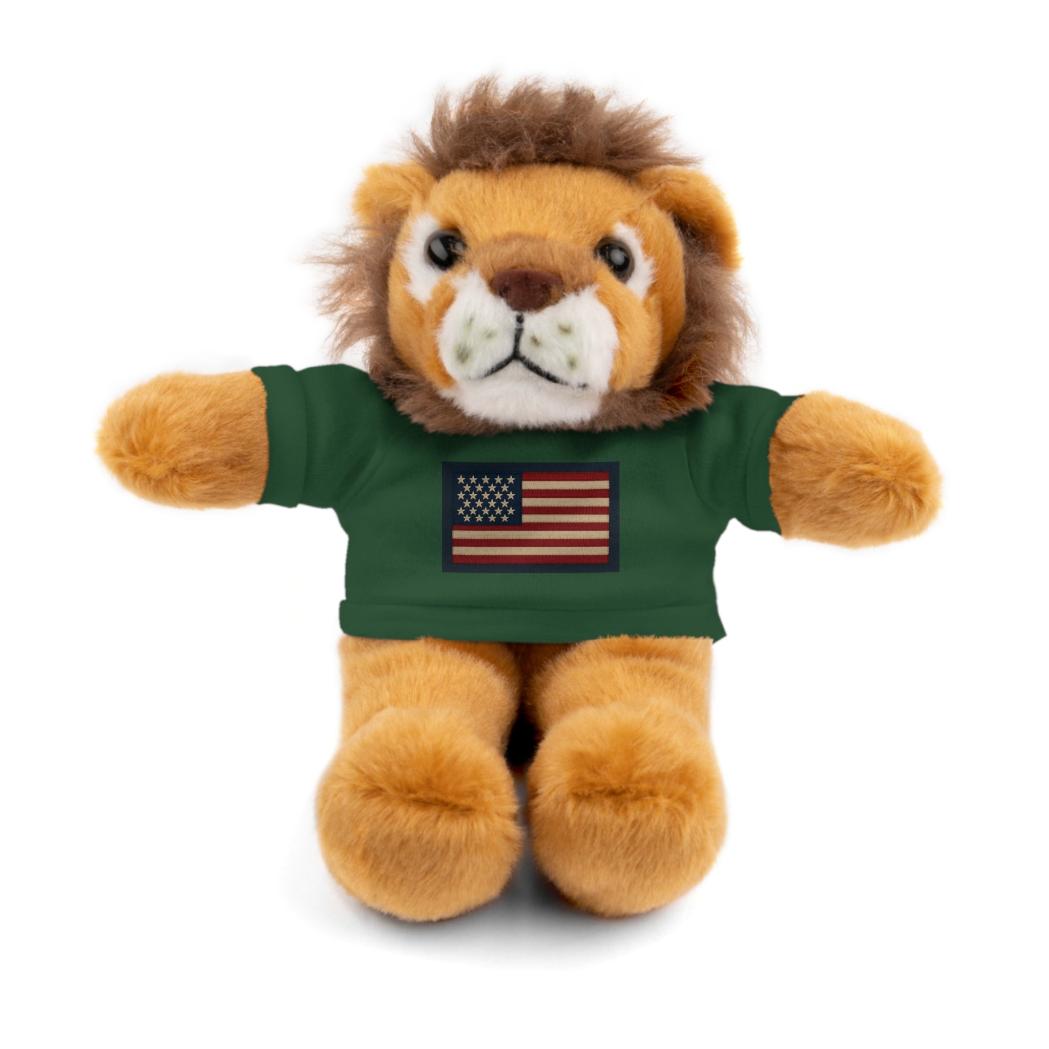 American Flag Teddy Bear with Tee — Patriotic Plush Gift