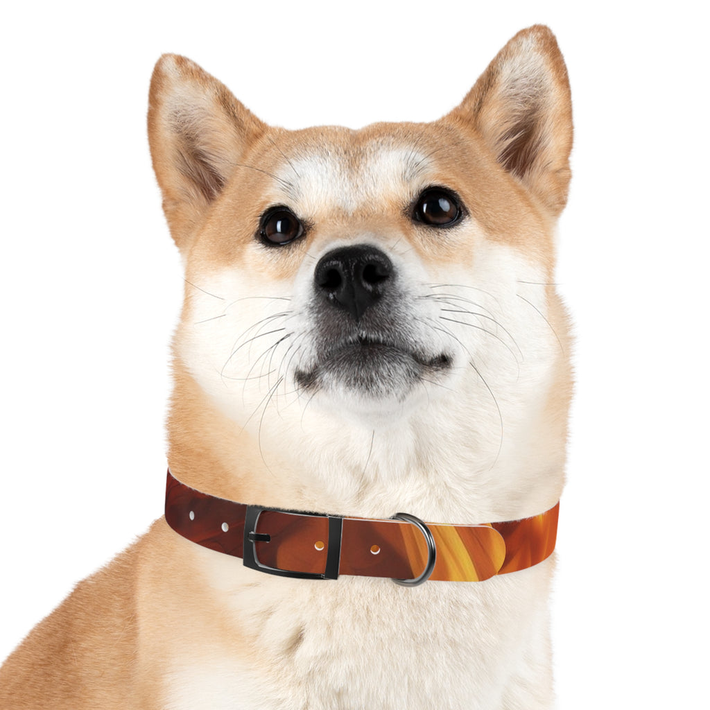 Amber Swirl Dog Collar — Warm Brown Abstract Pattern