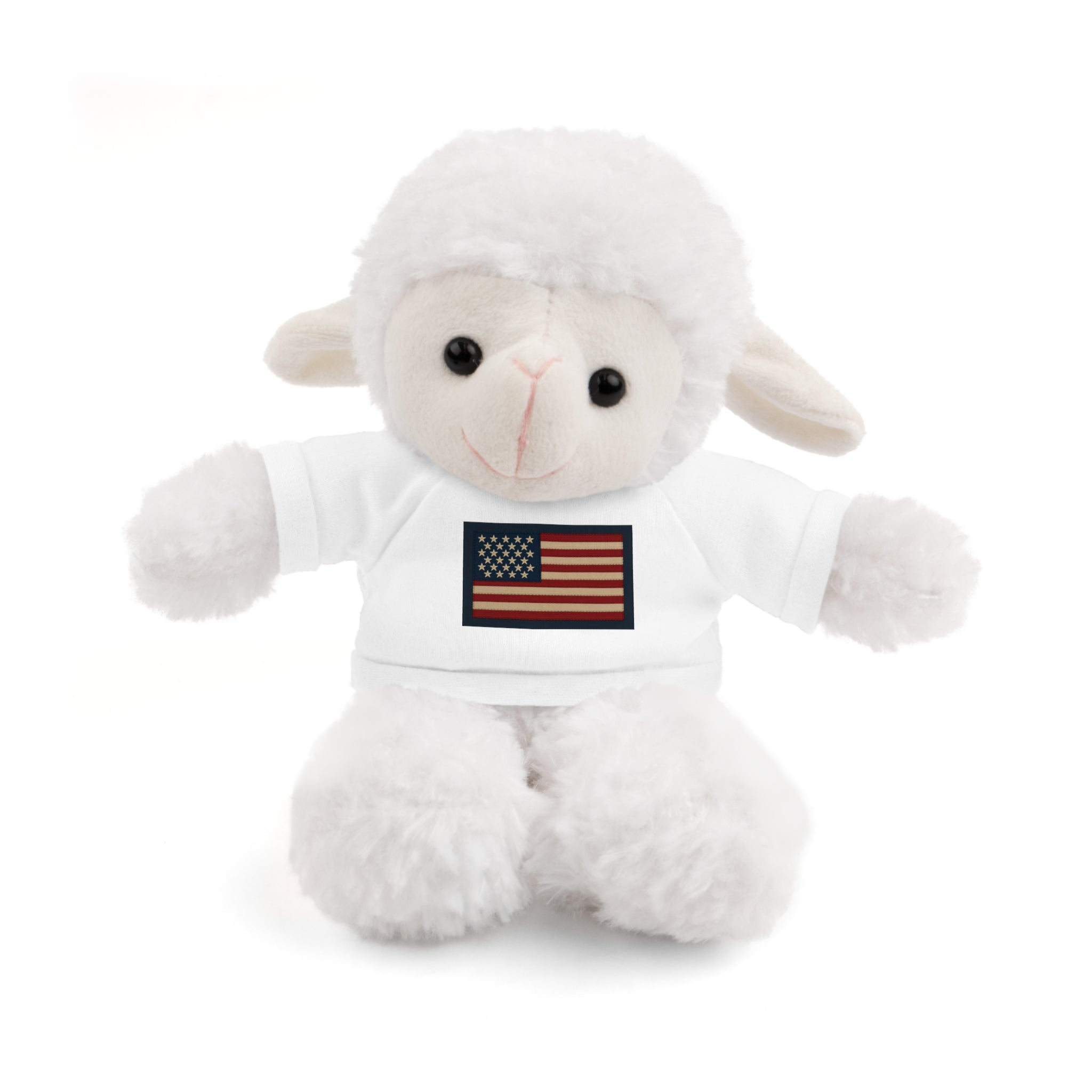 American Flag Teddy Bear with Tee — Patriotic Plush Gift
