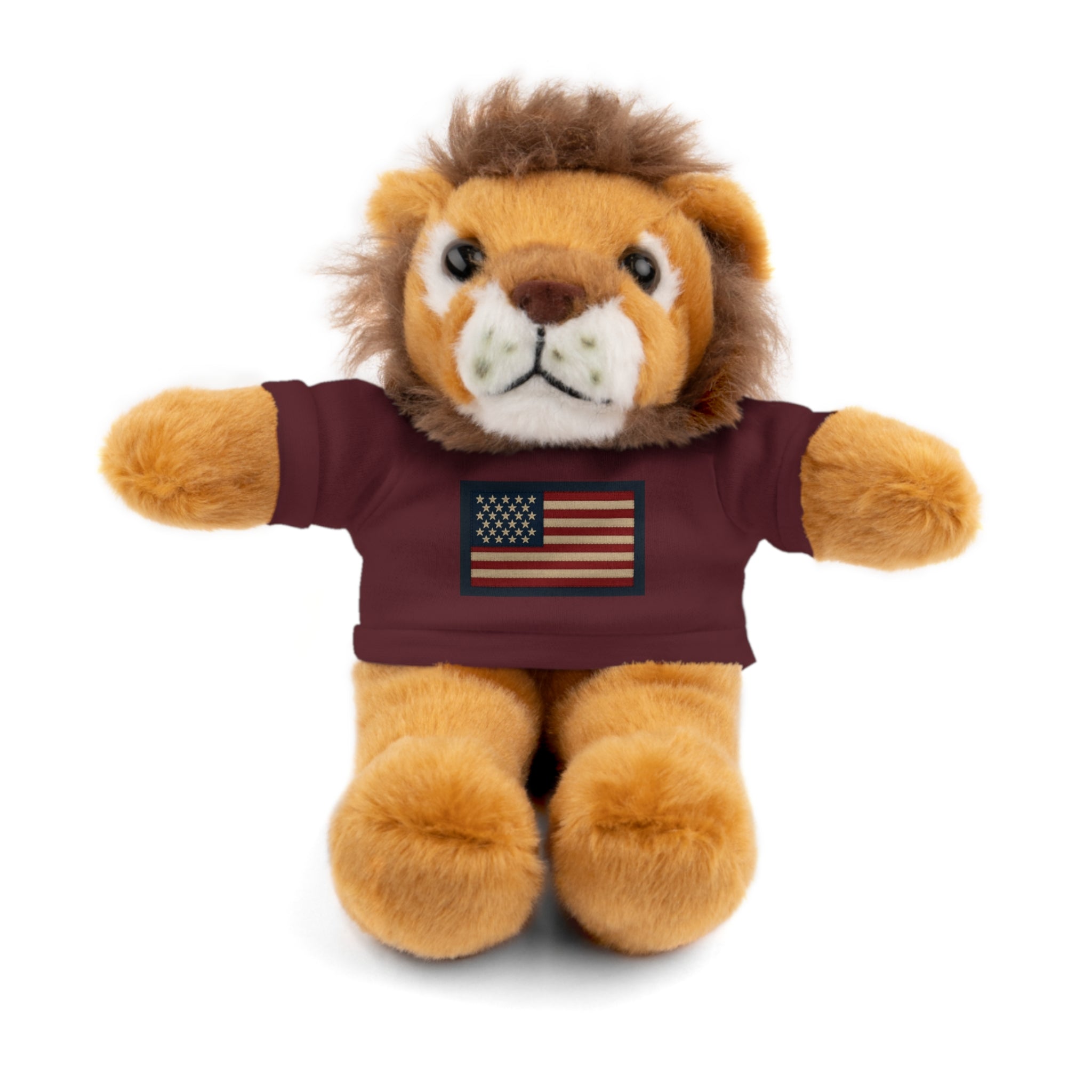 American Flag Teddy Bear with Tee — Patriotic Plush Gift