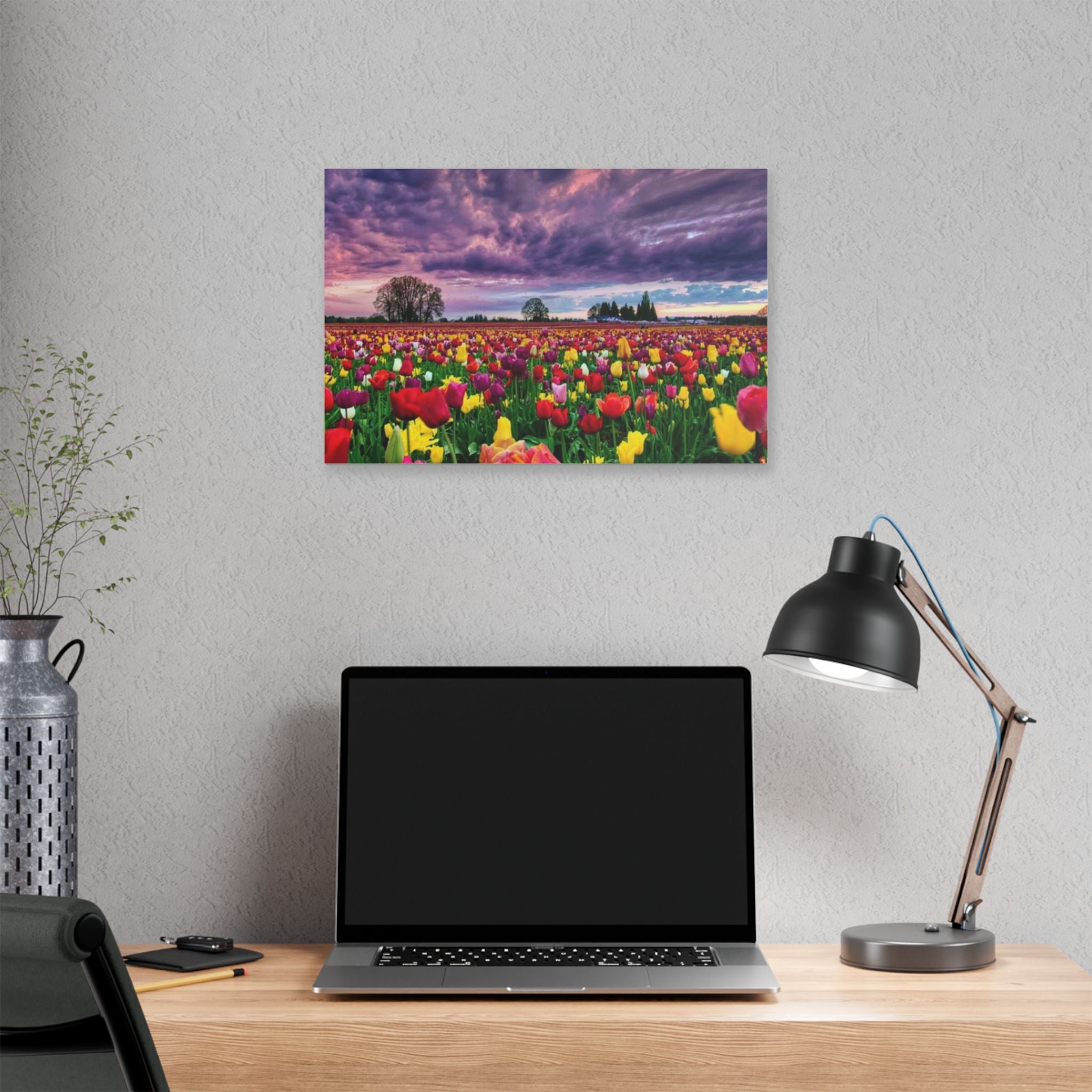 Tulip Field Sunset Canvas Print