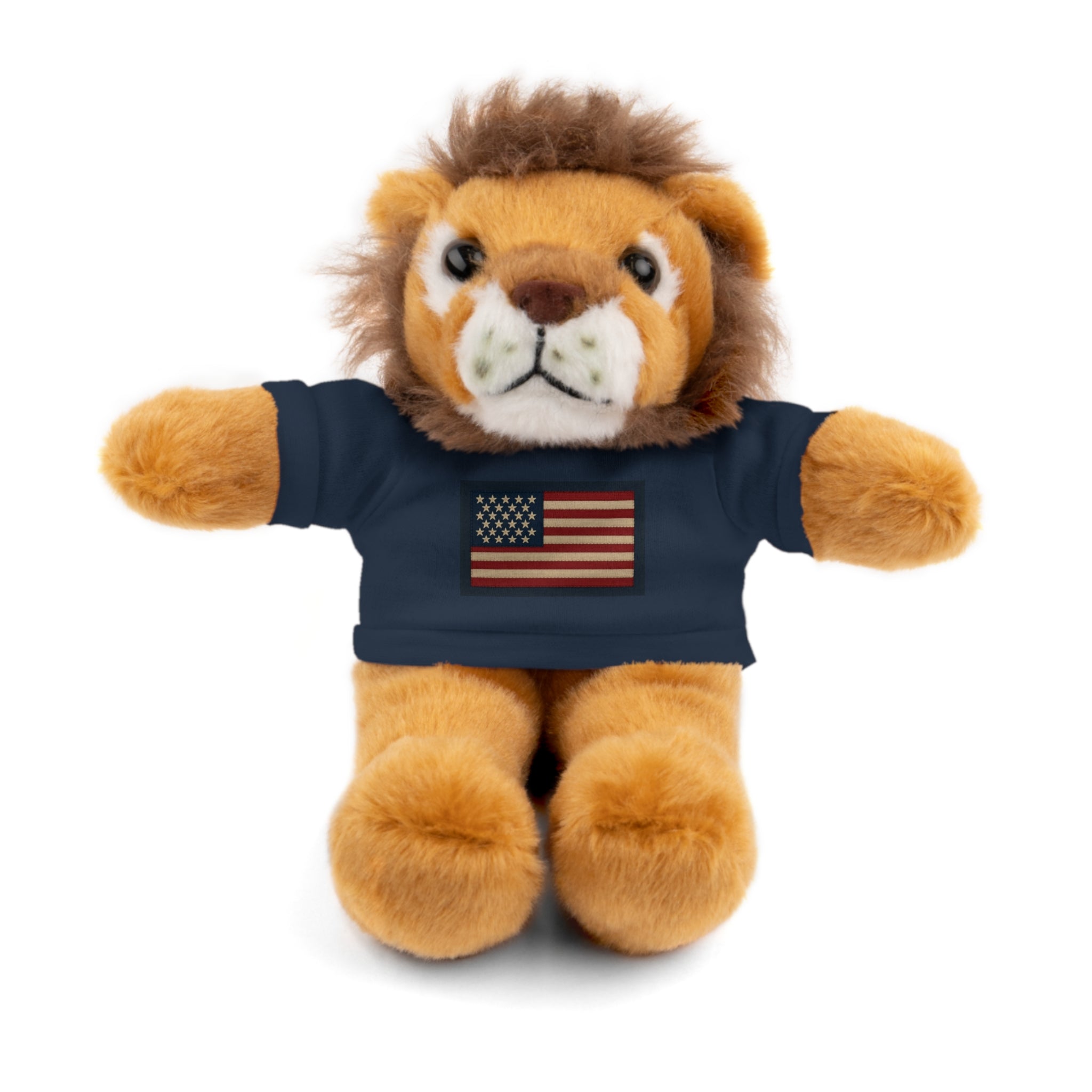 American Flag Teddy Bear with Tee — Patriotic Plush Gift