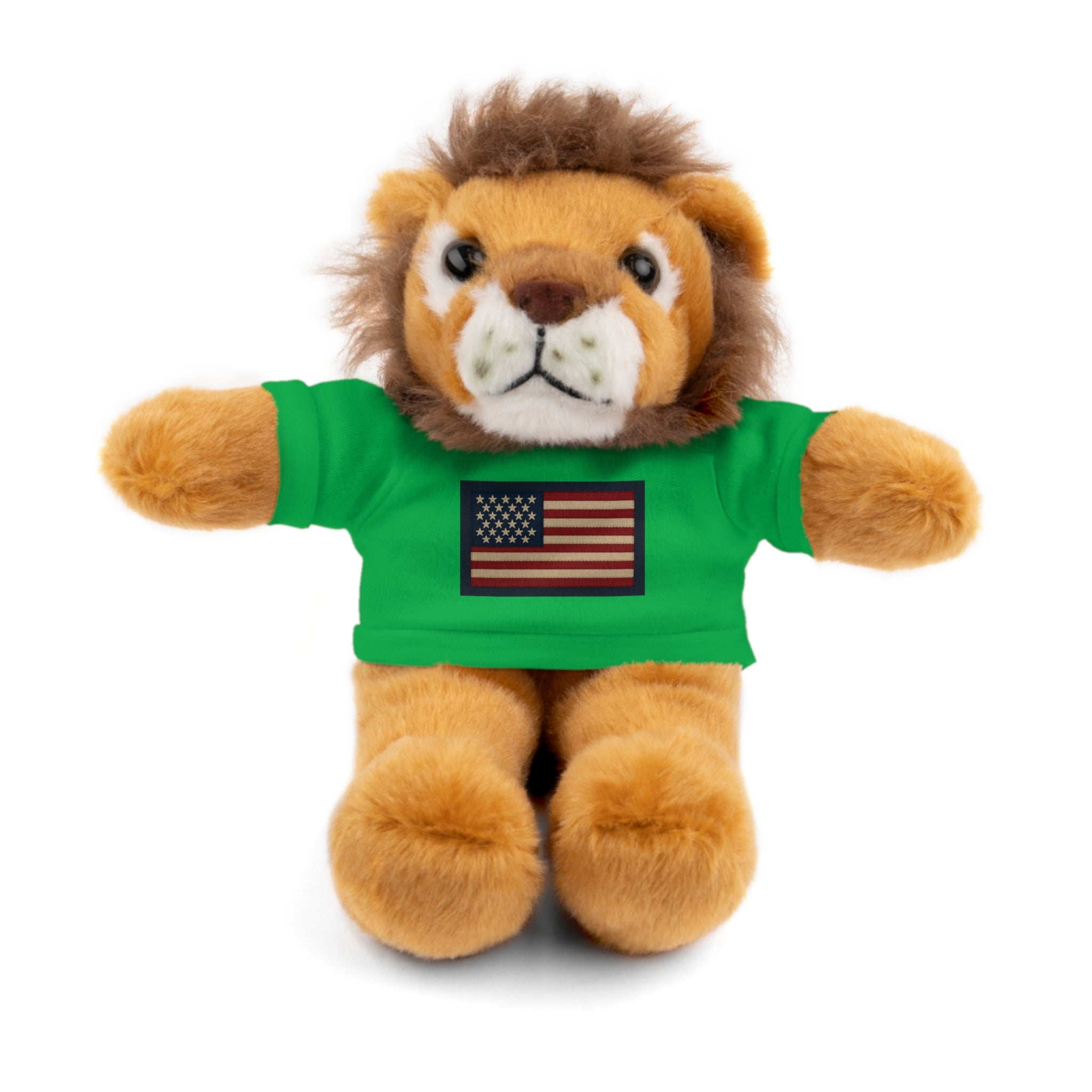 American Flag Teddy Bear with Tee — Patriotic Plush Gift