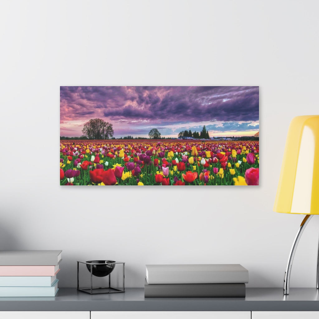Tulip Field Sunset Canvas Print
