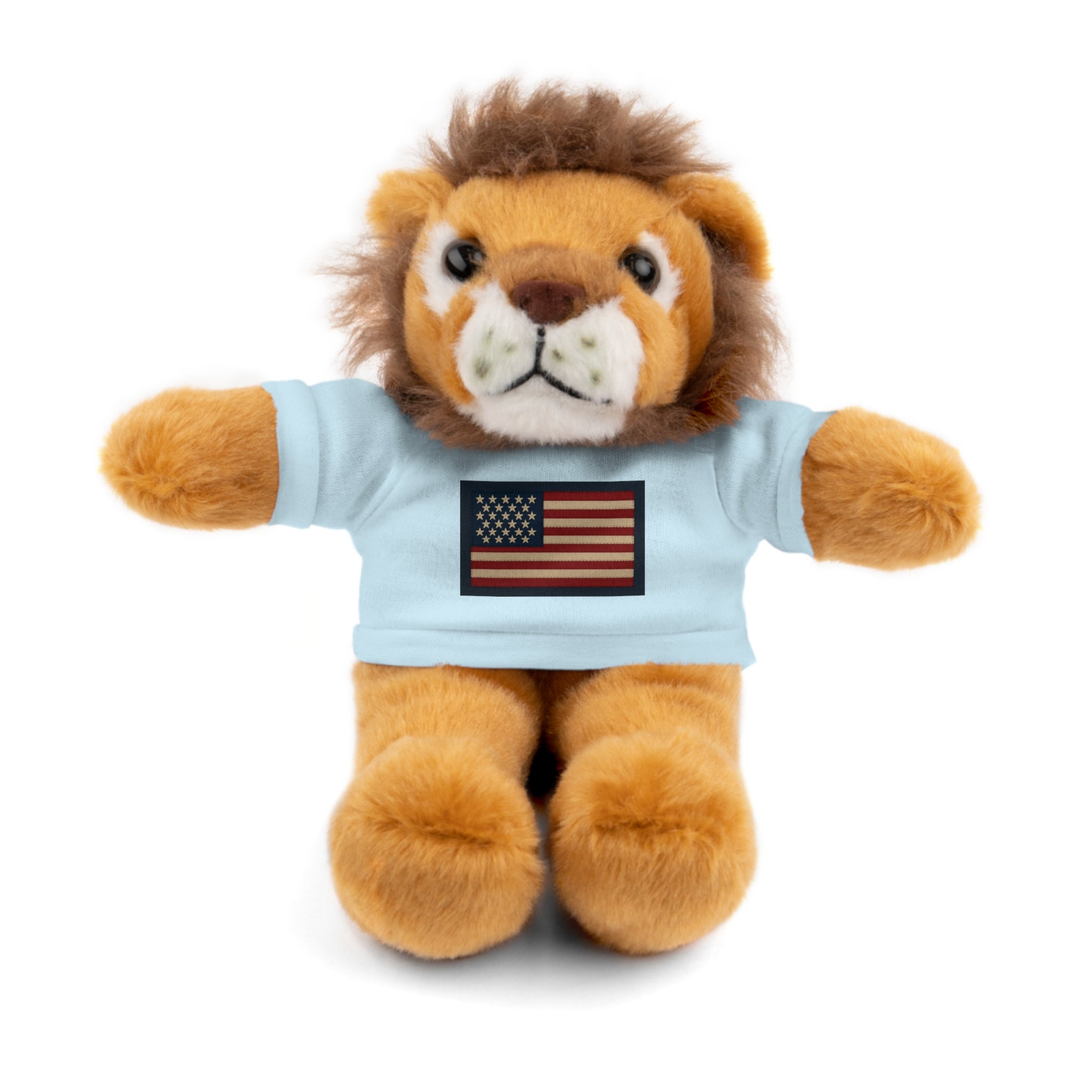 American Flag Teddy Bear with Tee — Patriotic Plush Gift
