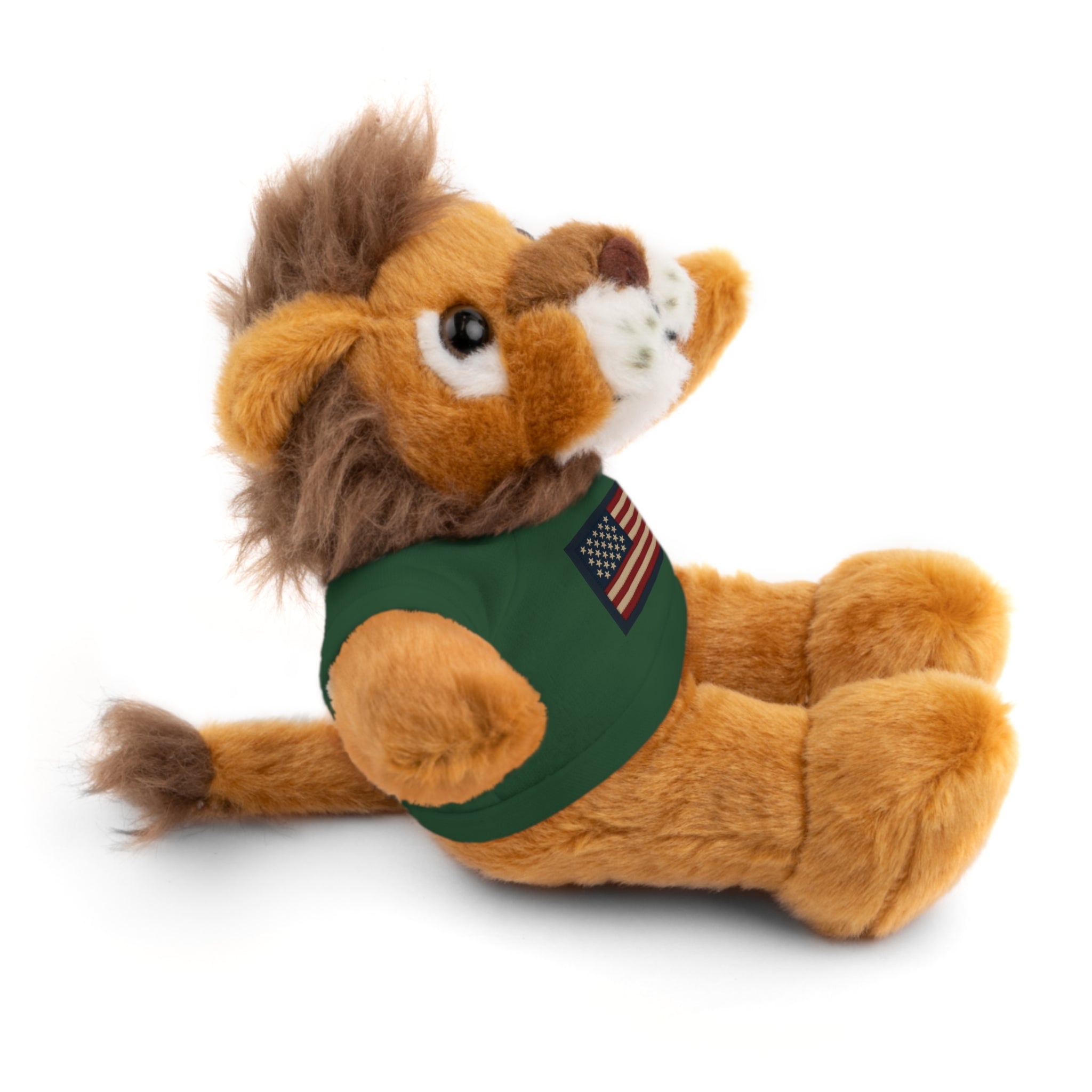 American Flag Teddy Bear with Tee — Patriotic Plush Gift
