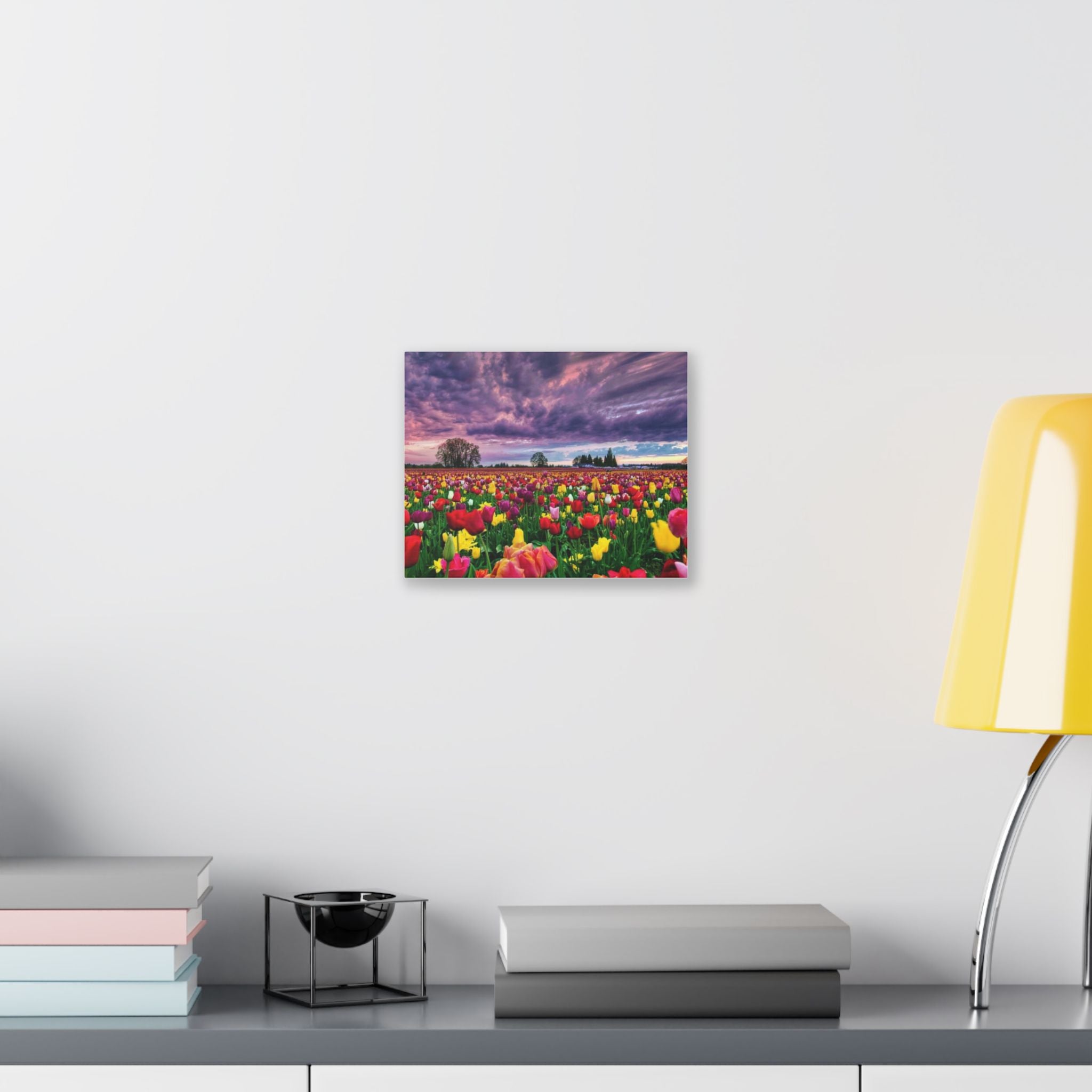 Tulip Field Sunset Canvas Print