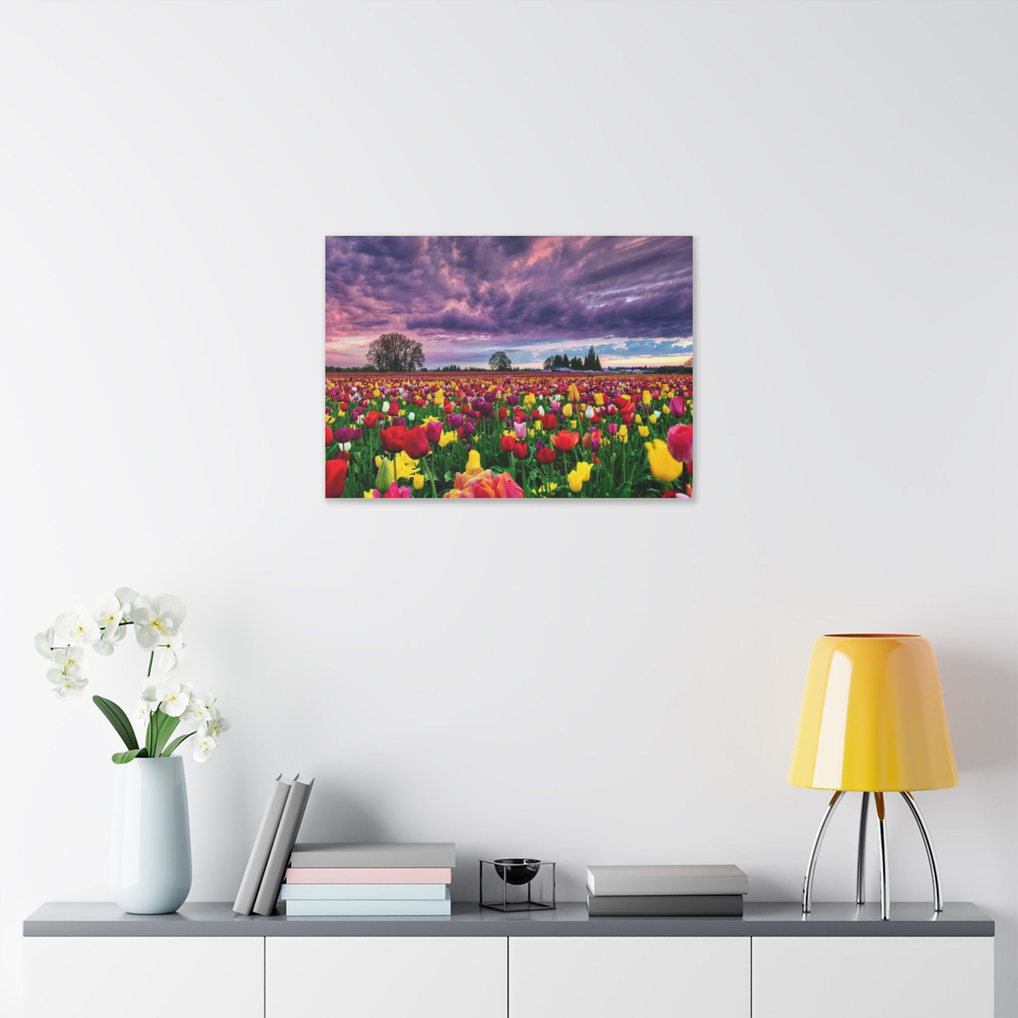 Tulip Field Sunset Canvas Print