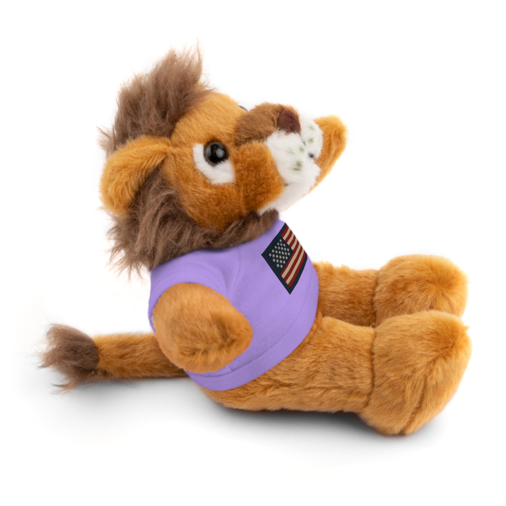 American Flag Teddy Bear with Tee — Patriotic Plush Gift