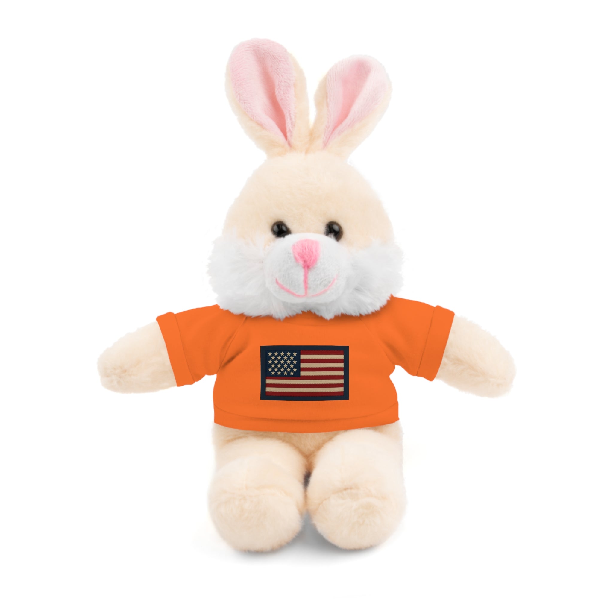 American Flag Teddy Bear with Tee — Patriotic Plush Gift