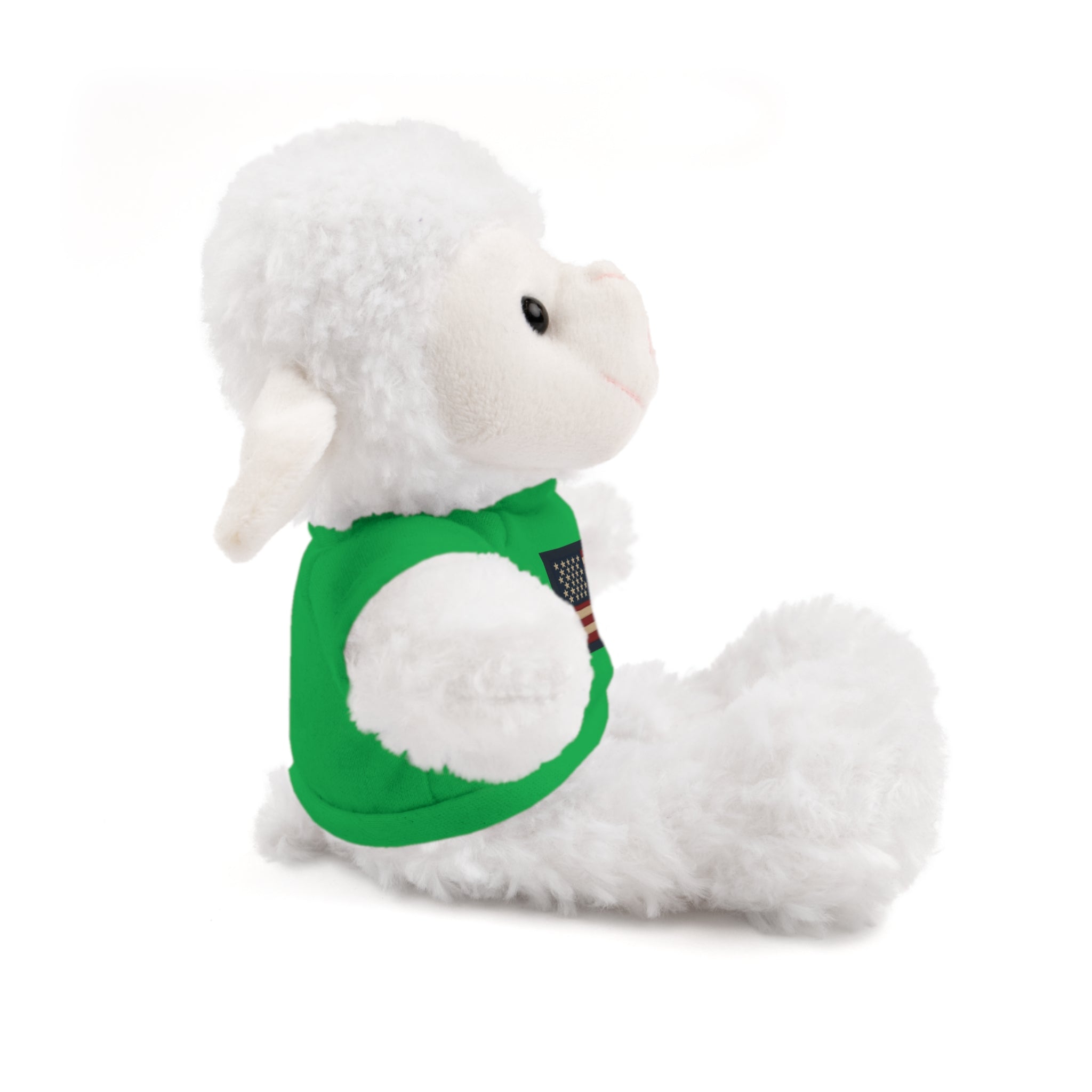 American Flag Teddy Bear with Tee — Patriotic Plush Gift