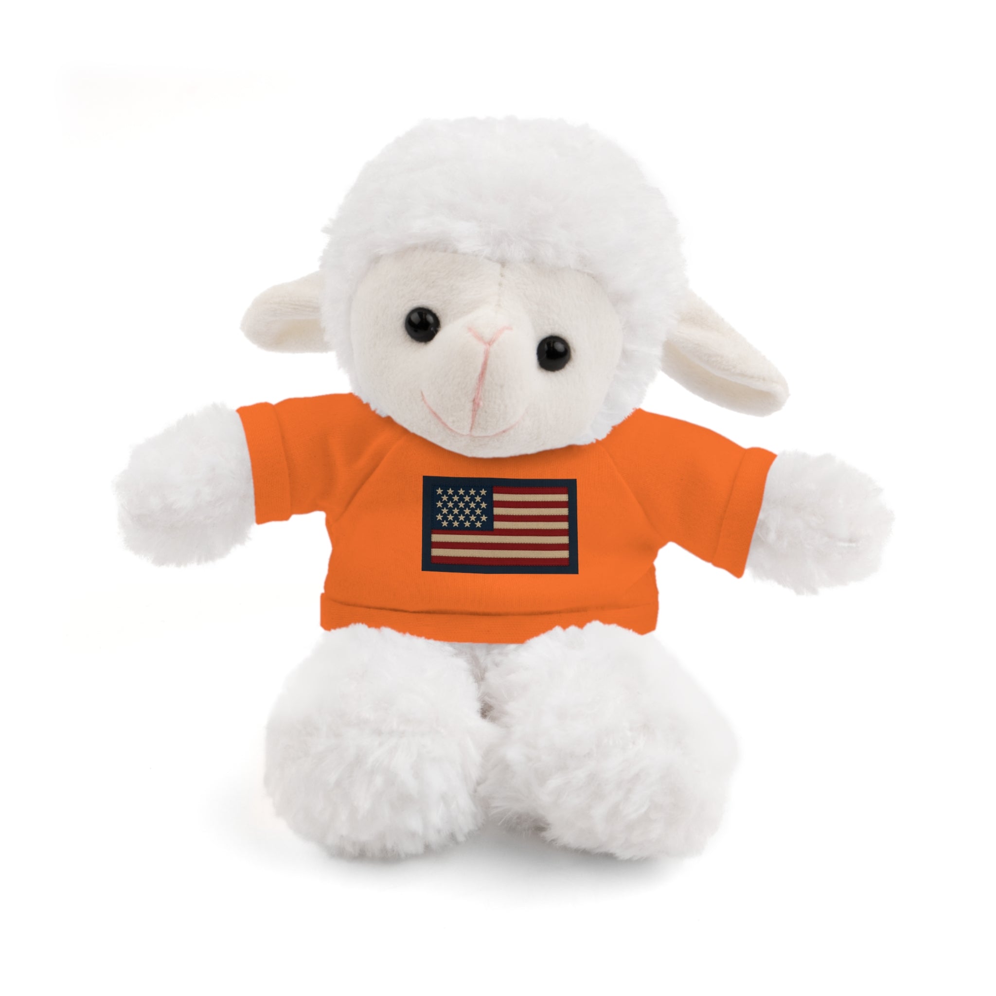 American Flag Teddy Bear with Tee — Patriotic Plush Gift