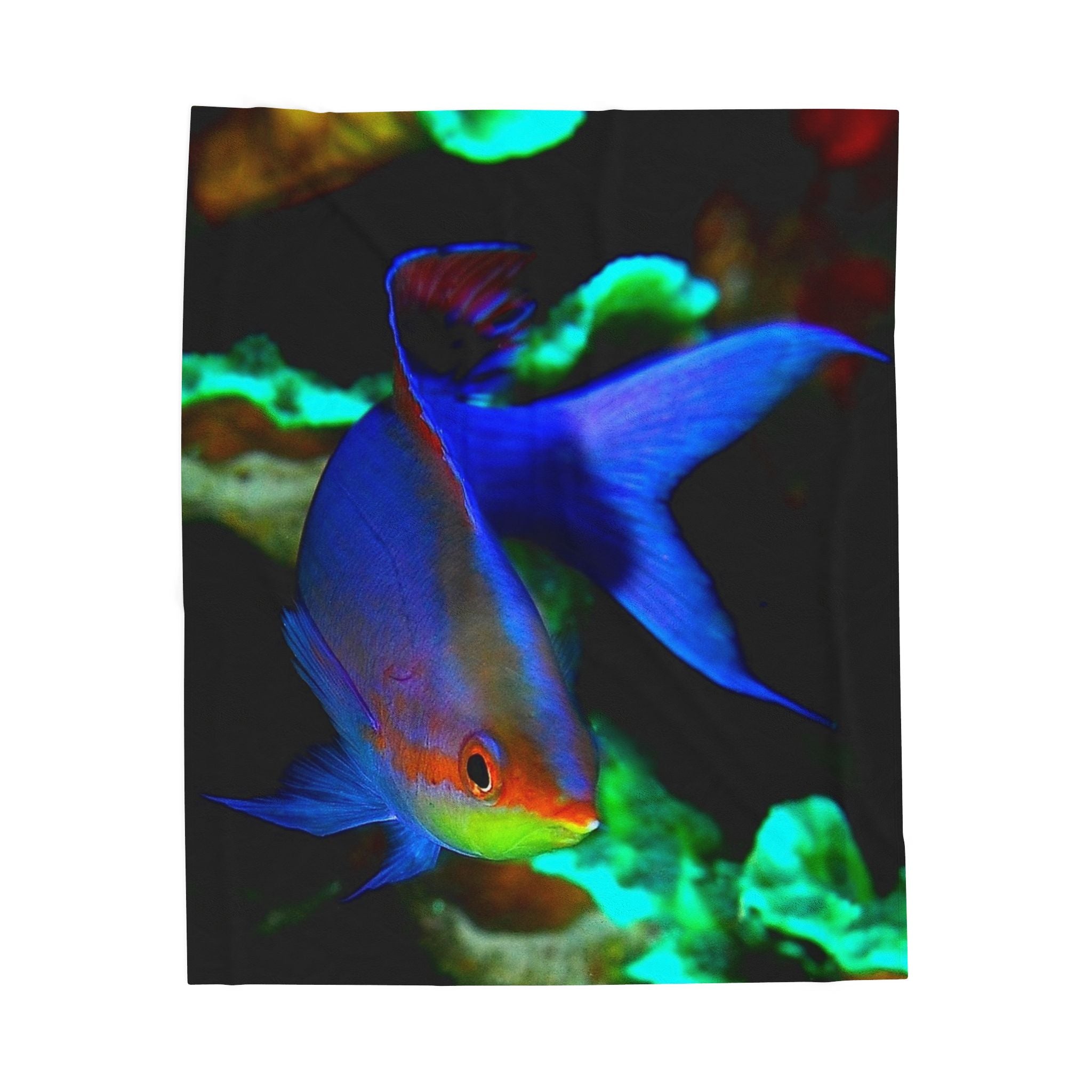 Tropical Fish Velveteen Plush Blanket — Vibrant Aquarium Throw for Ocean Lovers