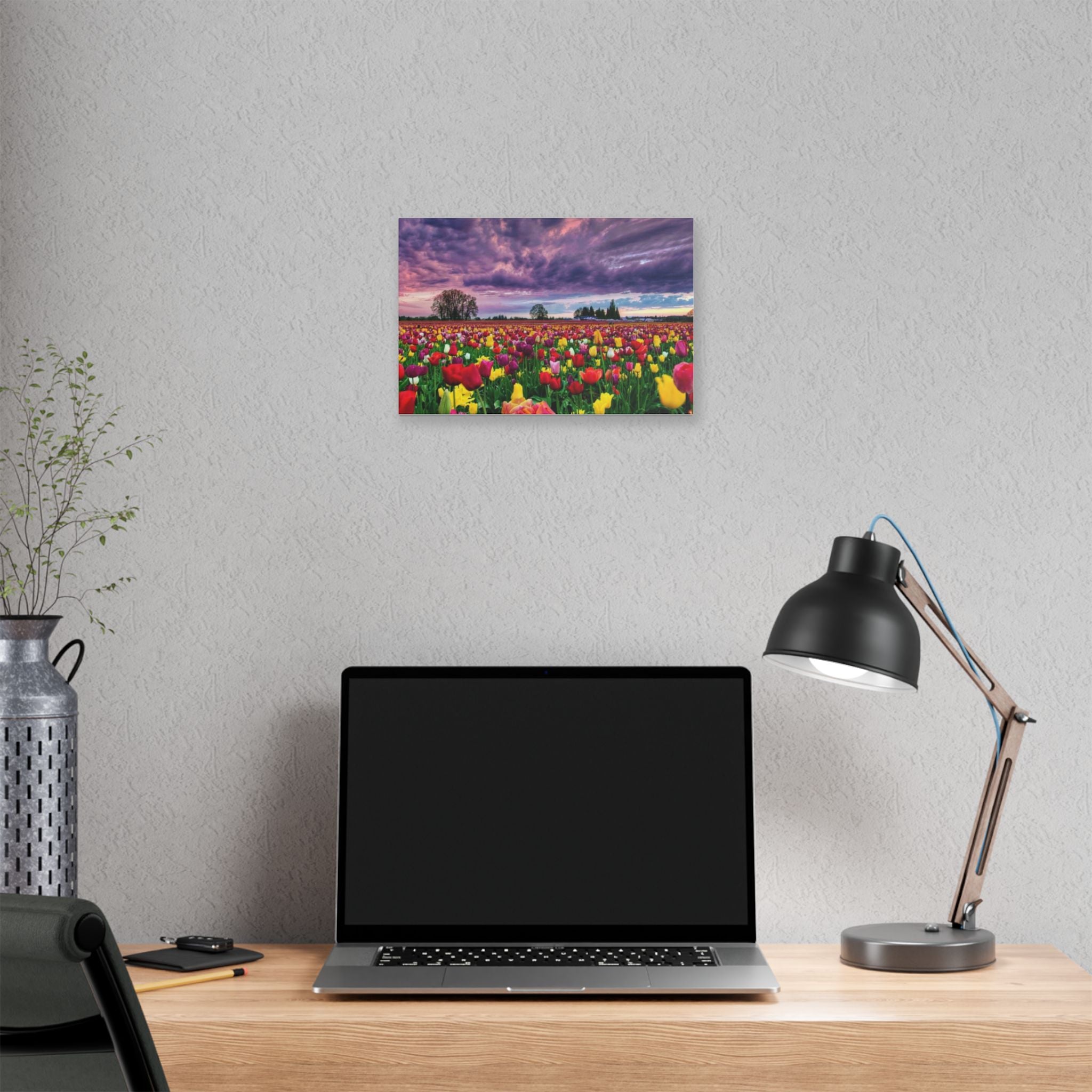 Tulip Field Sunset Canvas Print