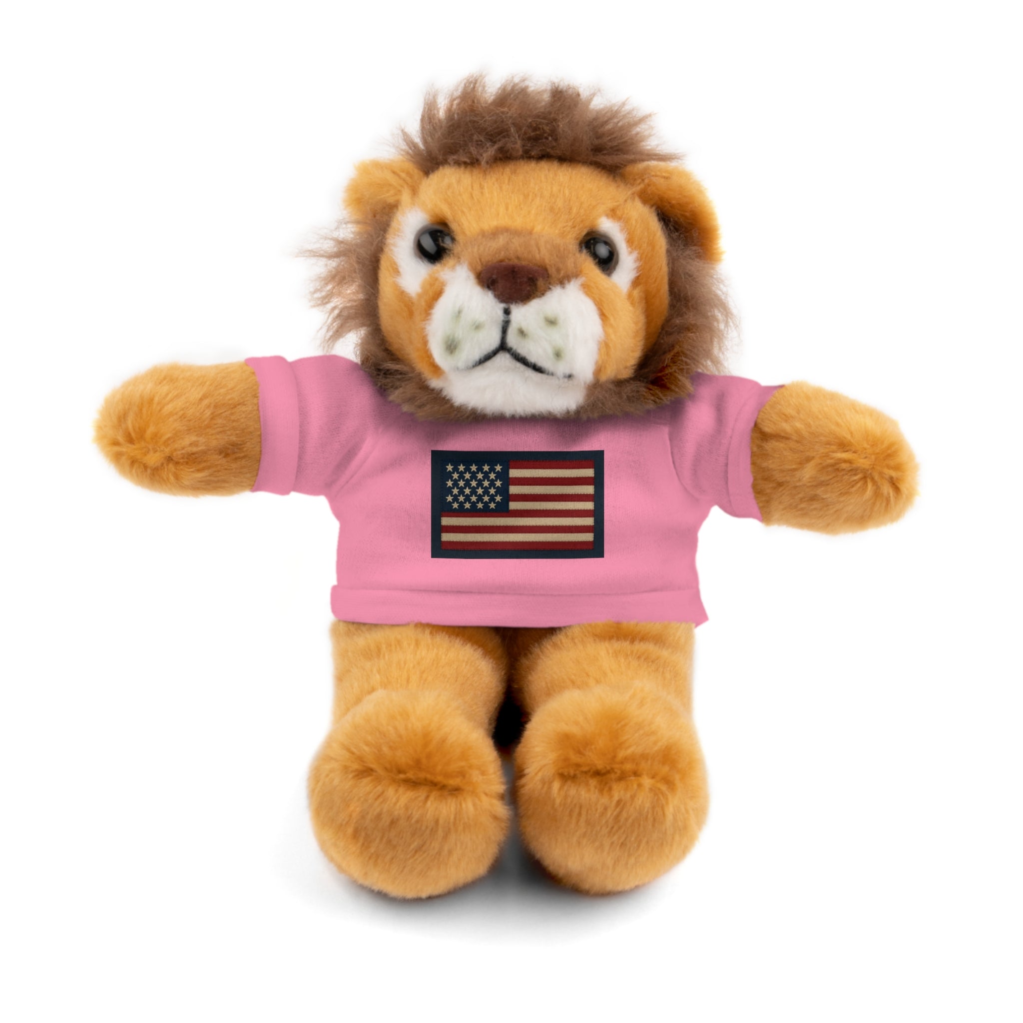 American Flag Teddy Bear with Tee — Patriotic Plush Gift