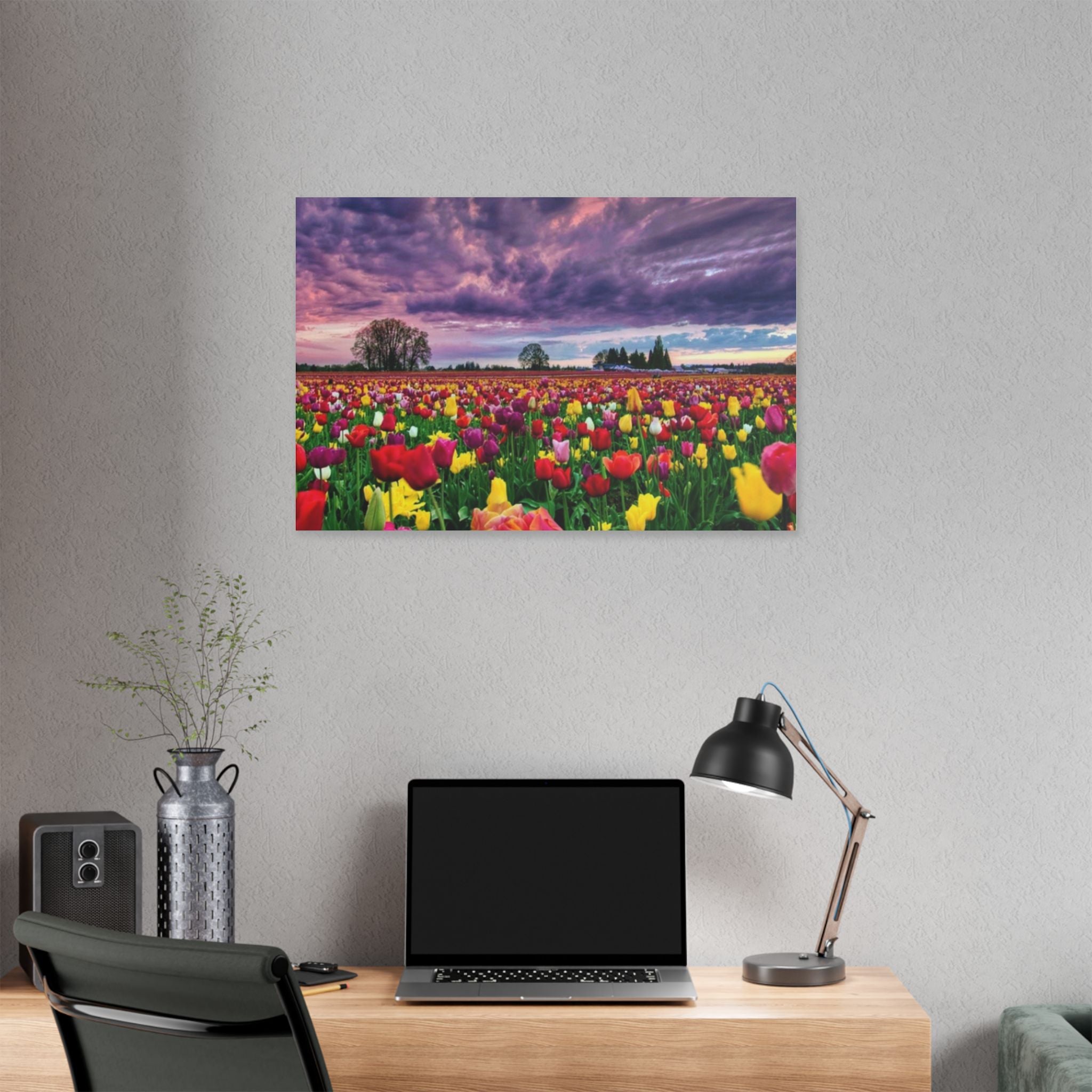 Tulip Field Sunset Canvas Print