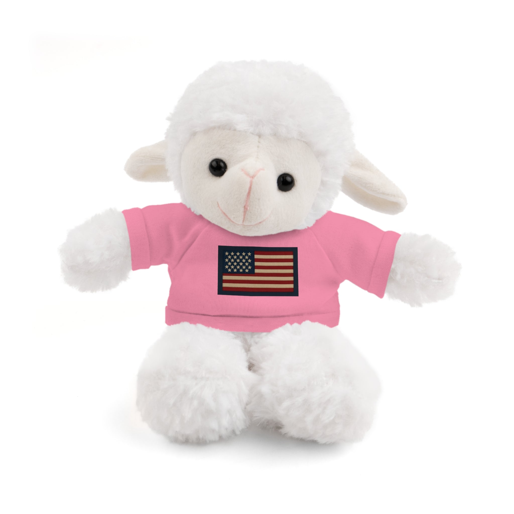 American Flag Teddy Bear with Tee — Patriotic Plush Gift
