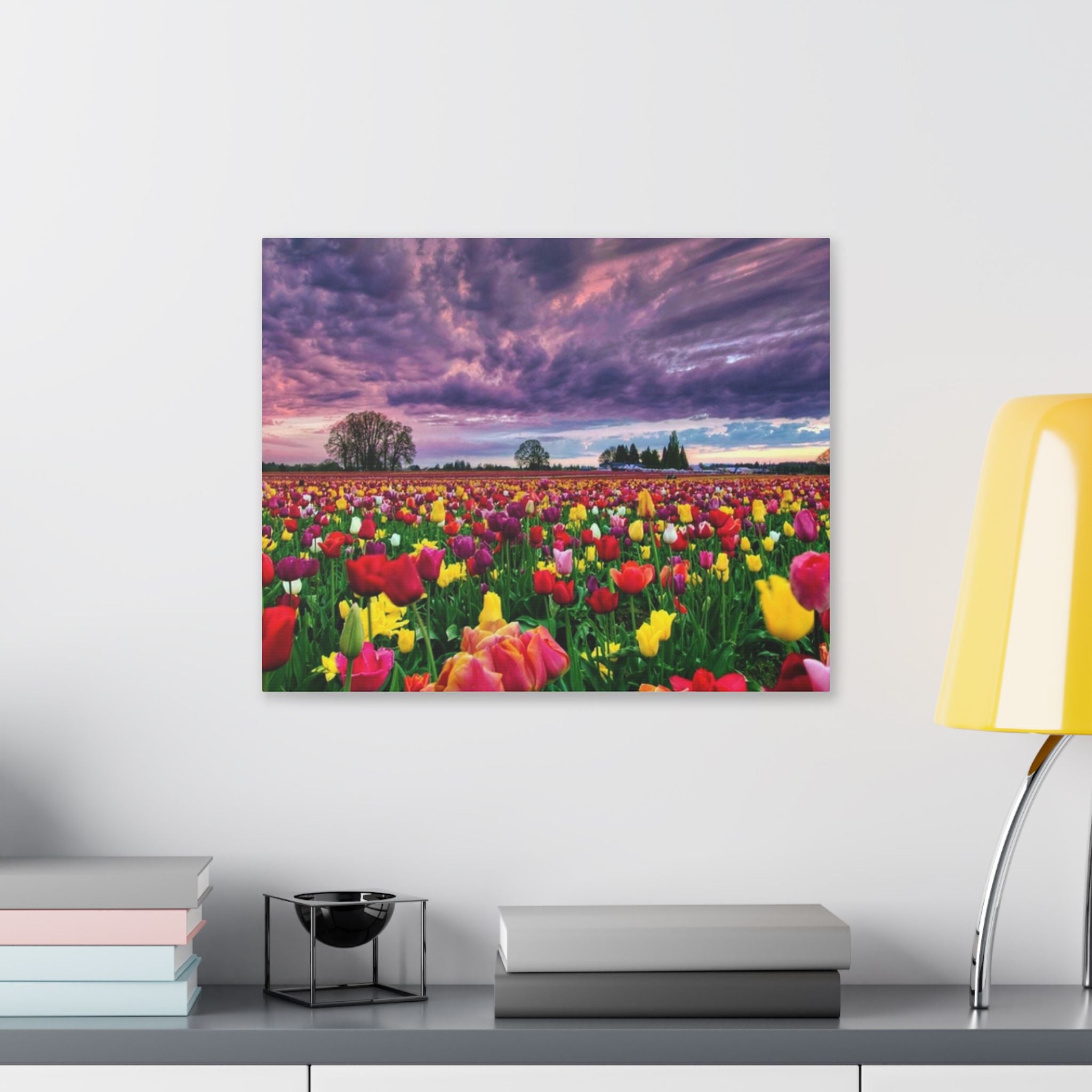 Tulip Field Sunset Canvas Print