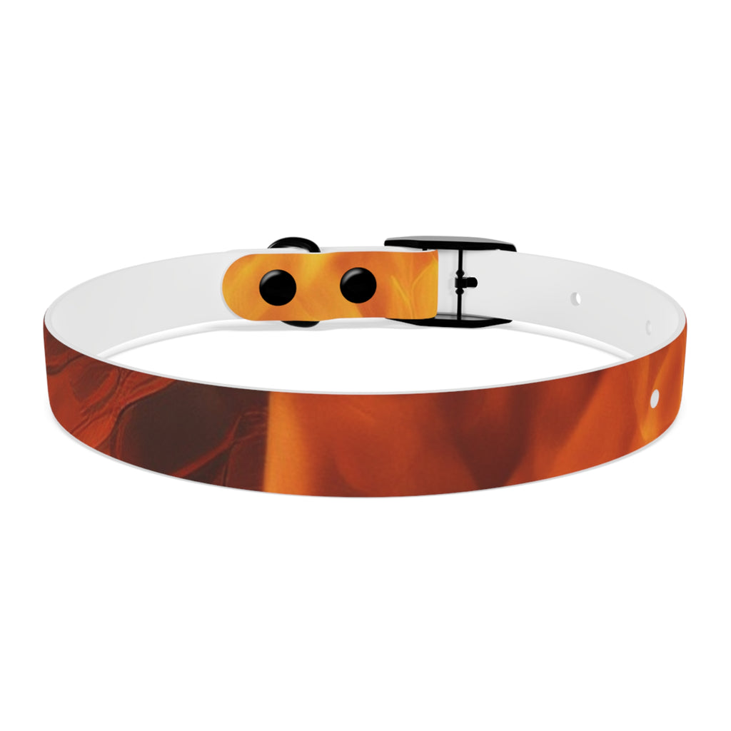 Amber Swirl Dog Collar — Warm Brown Abstract Pattern