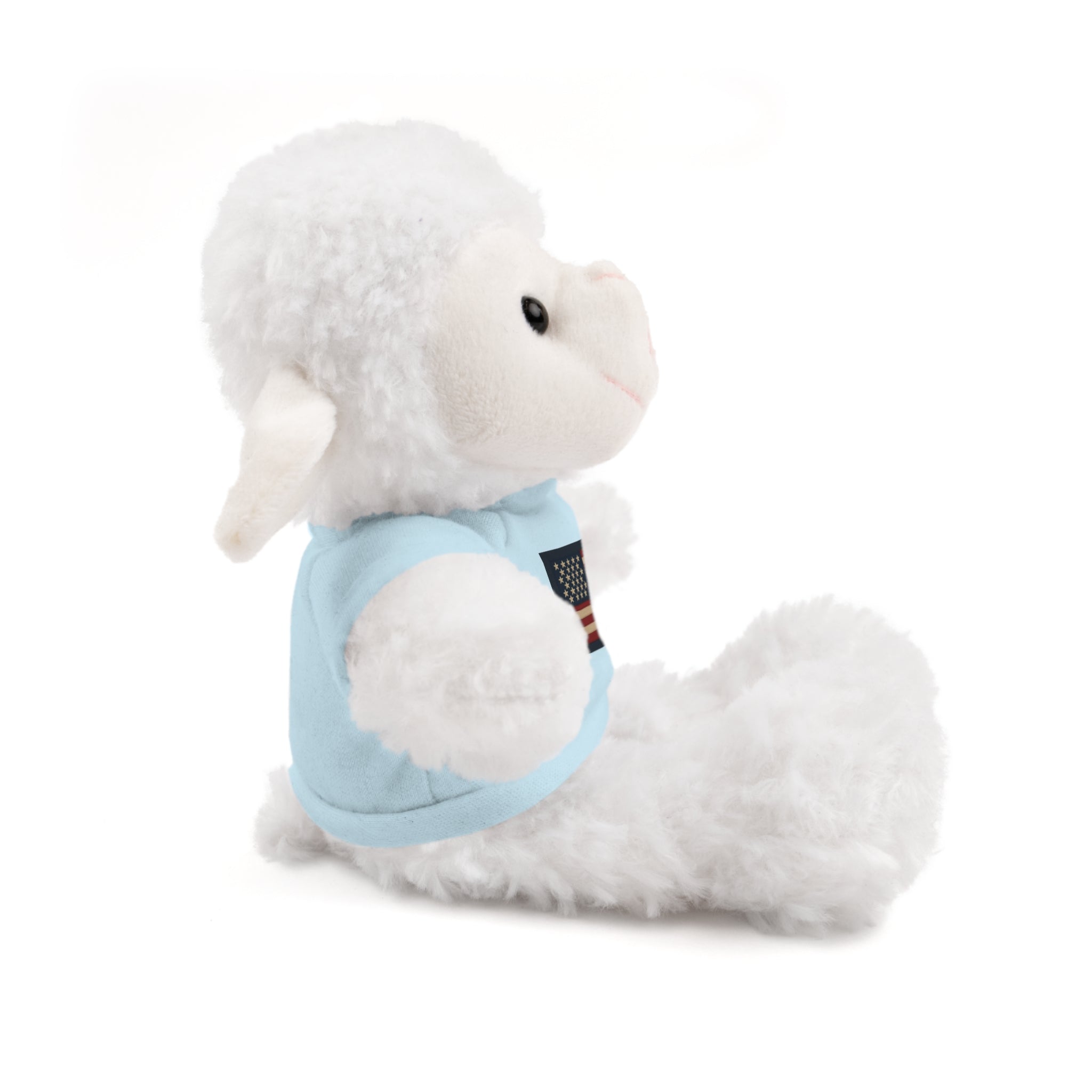 American Flag Teddy Bear with Tee — Patriotic Plush Gift